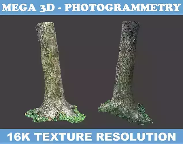 Low poly - High poly Trunk 01 - Photogrammetry
