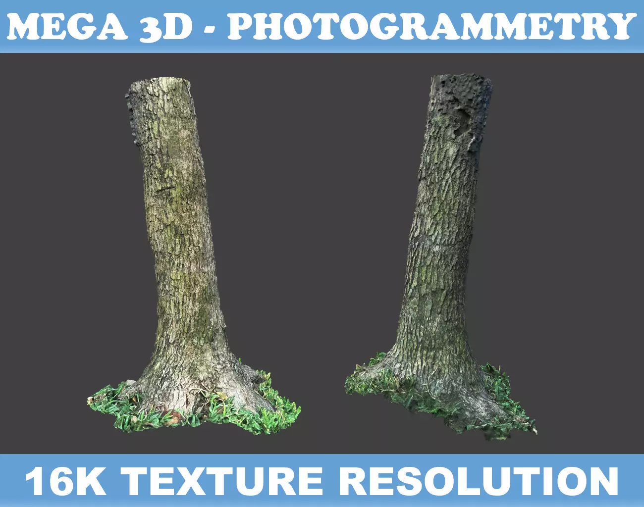 Low poly - High poly Trunk 01 - Photogrammetry Low-poly 3D model_0