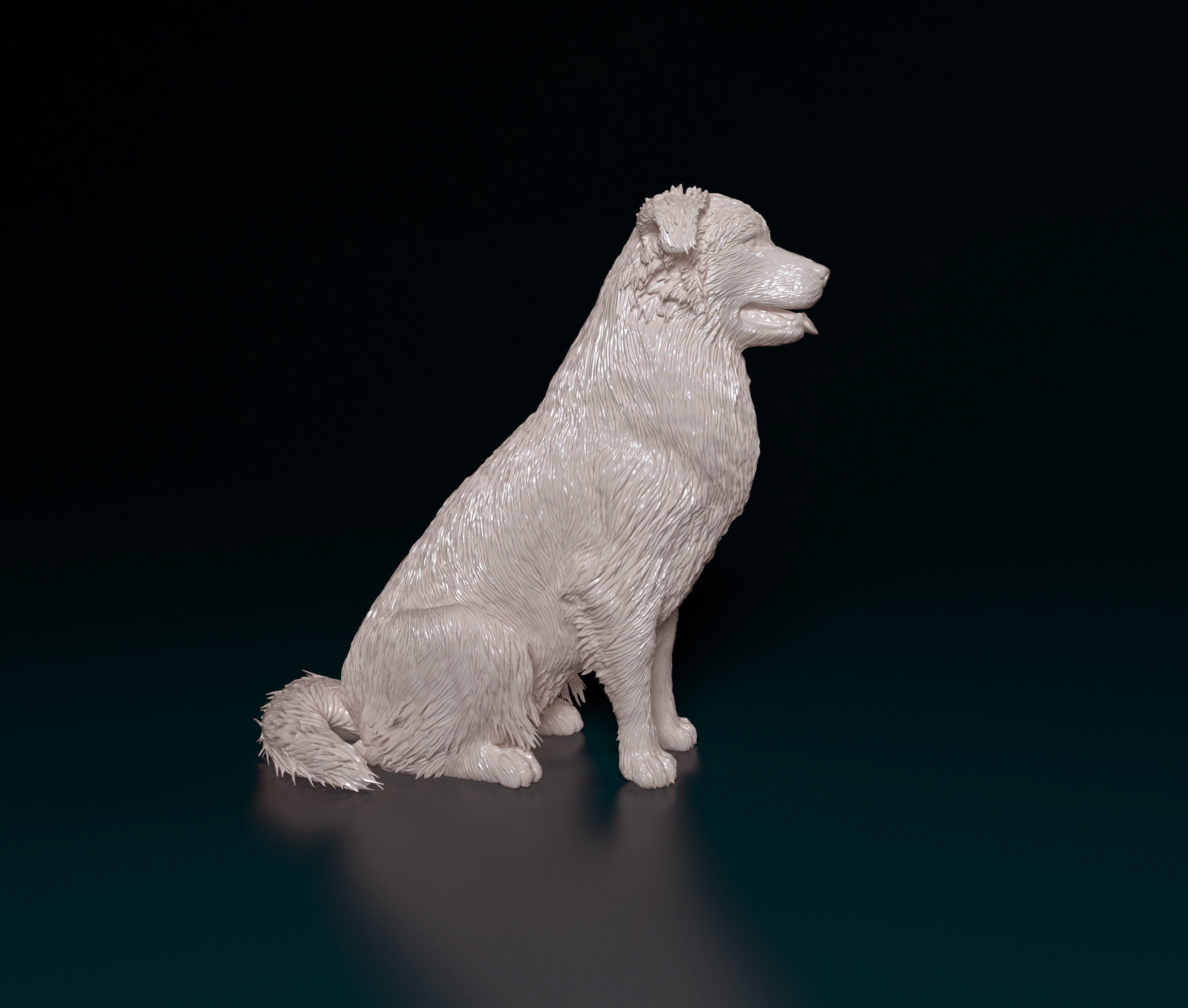 Australian shepherd dog 3D print model_5