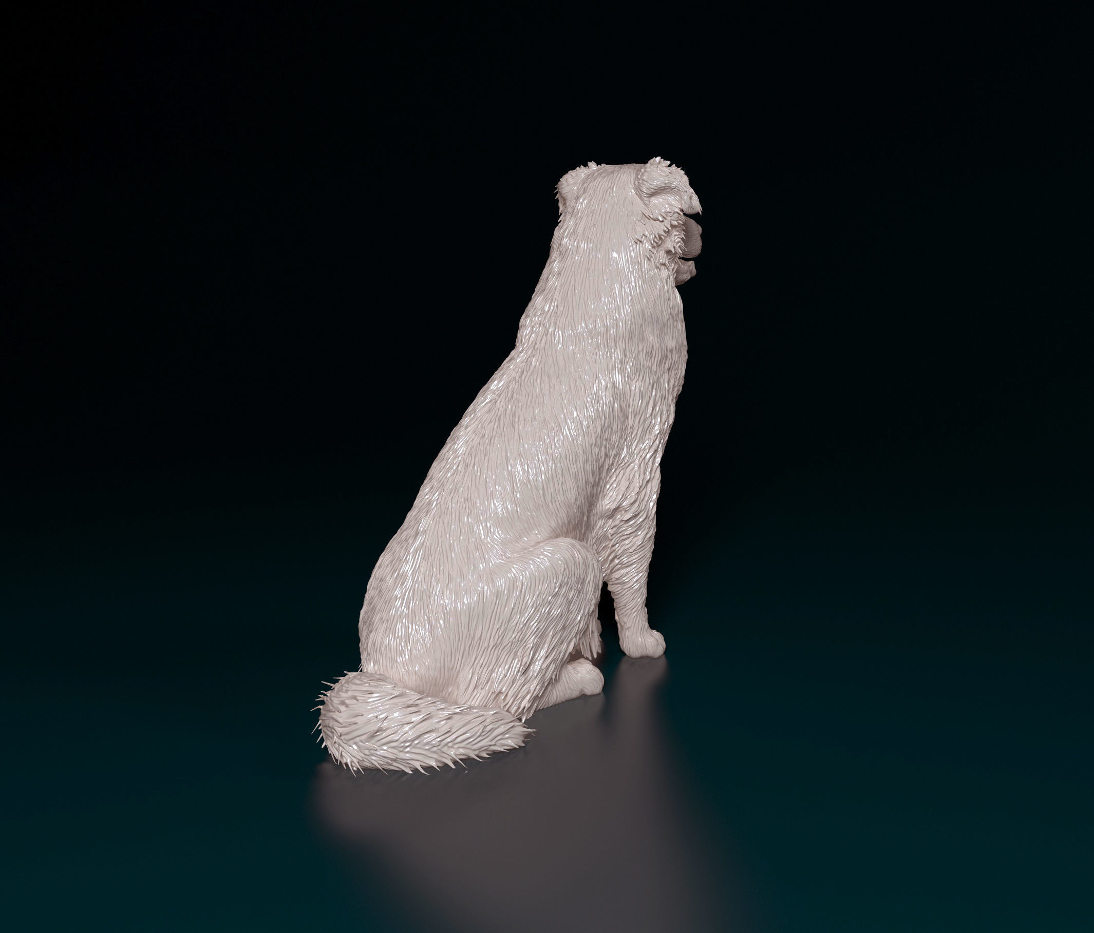 Australian shepherd dog 3D print model_6