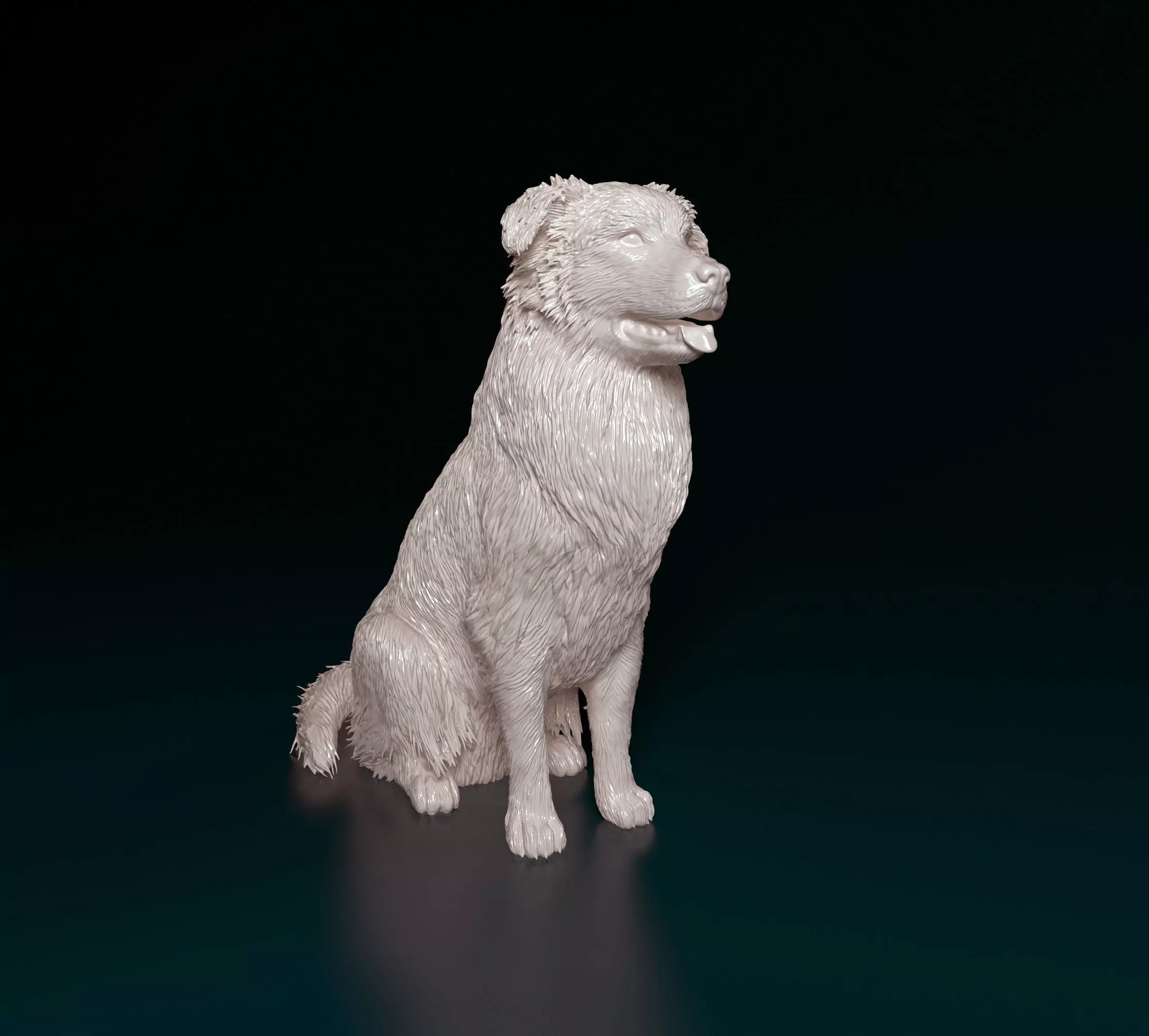 Australian shepherd dog 3D print model_0