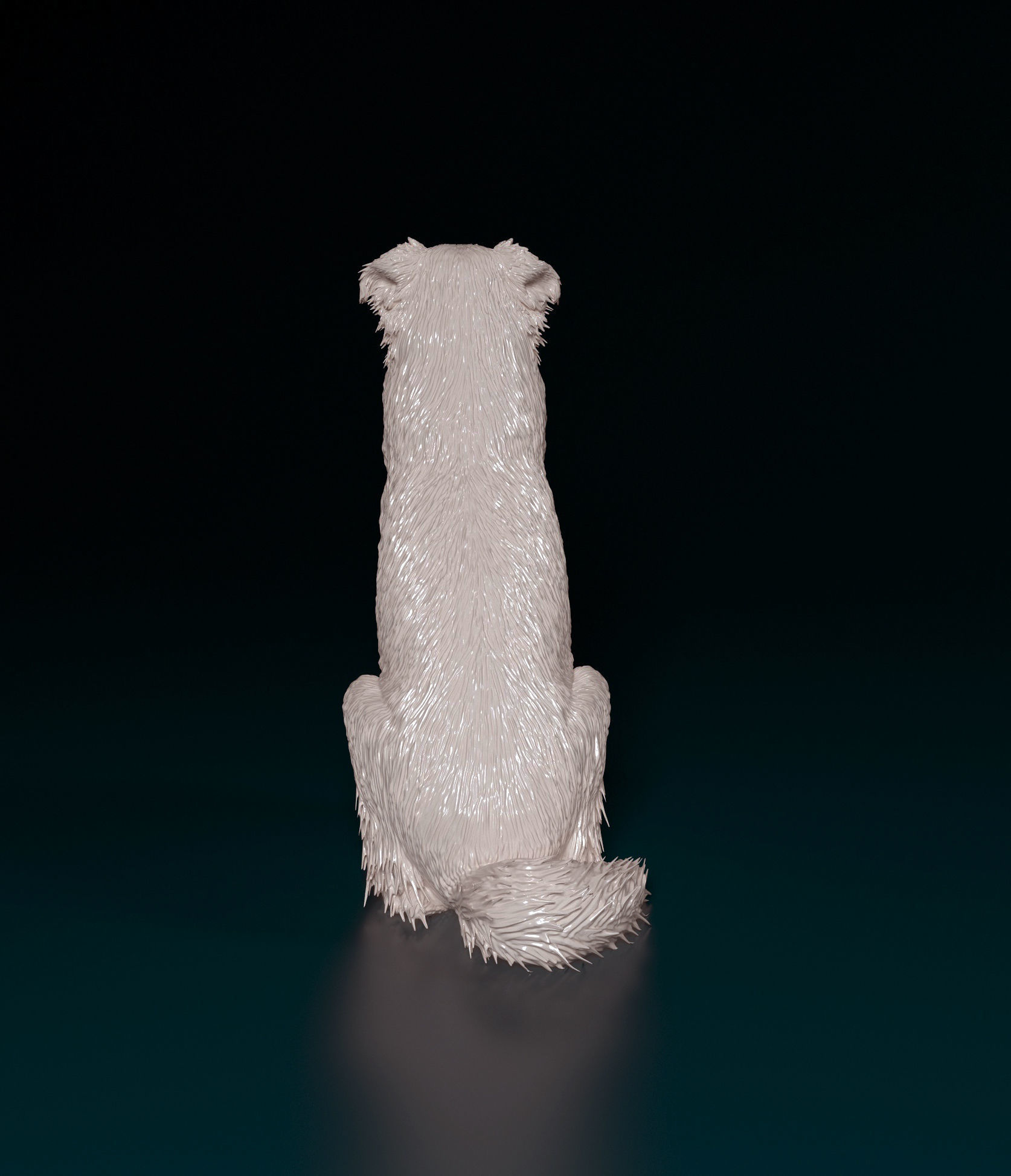 Australian shepherd dog 3D print model_7