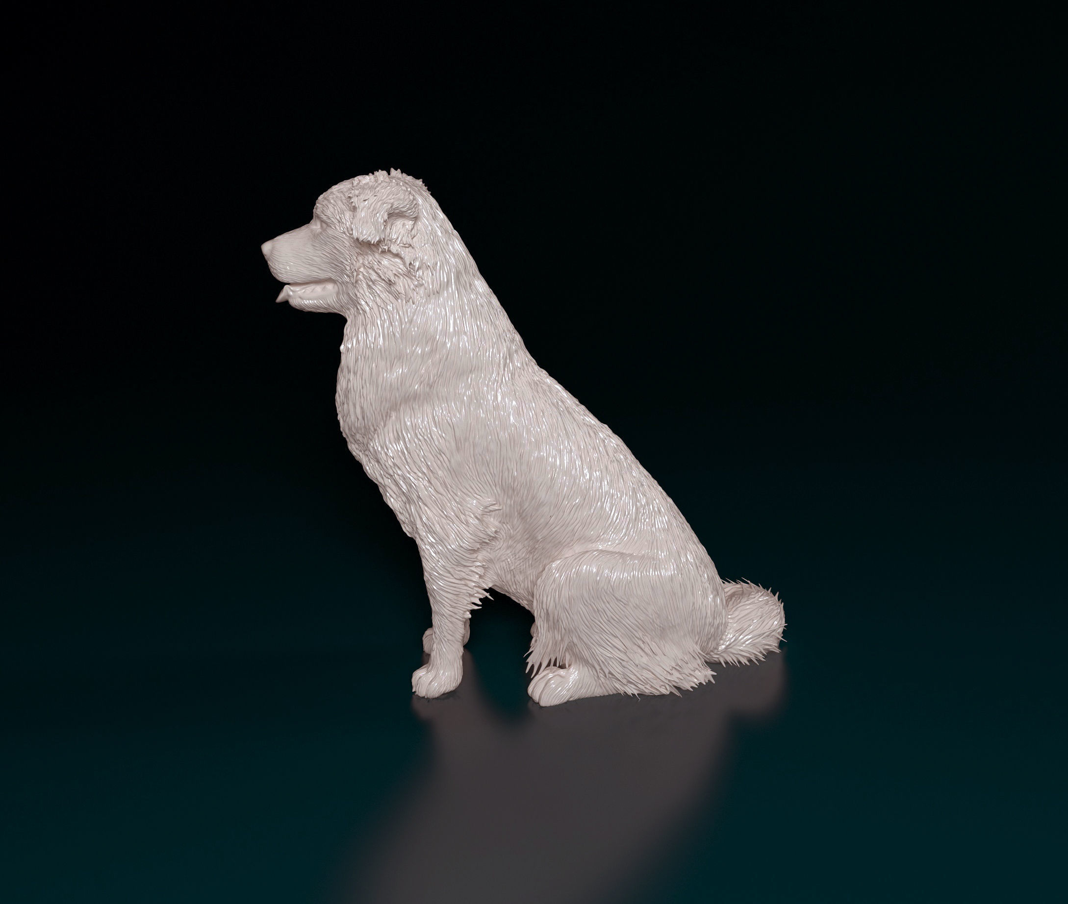 Australian shepherd dog 3D print model_9