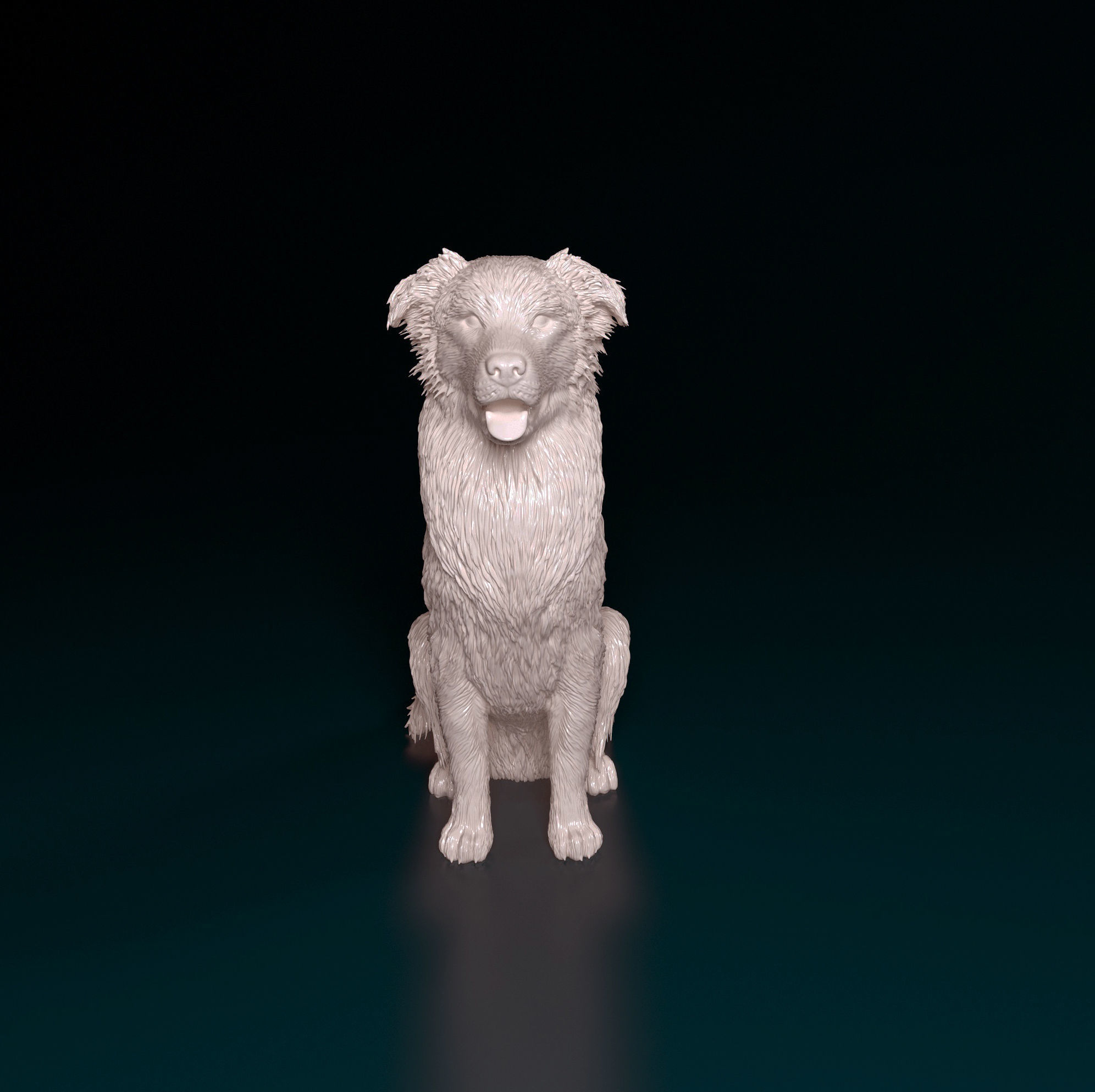 Australian shepherd dog 3D print model_11