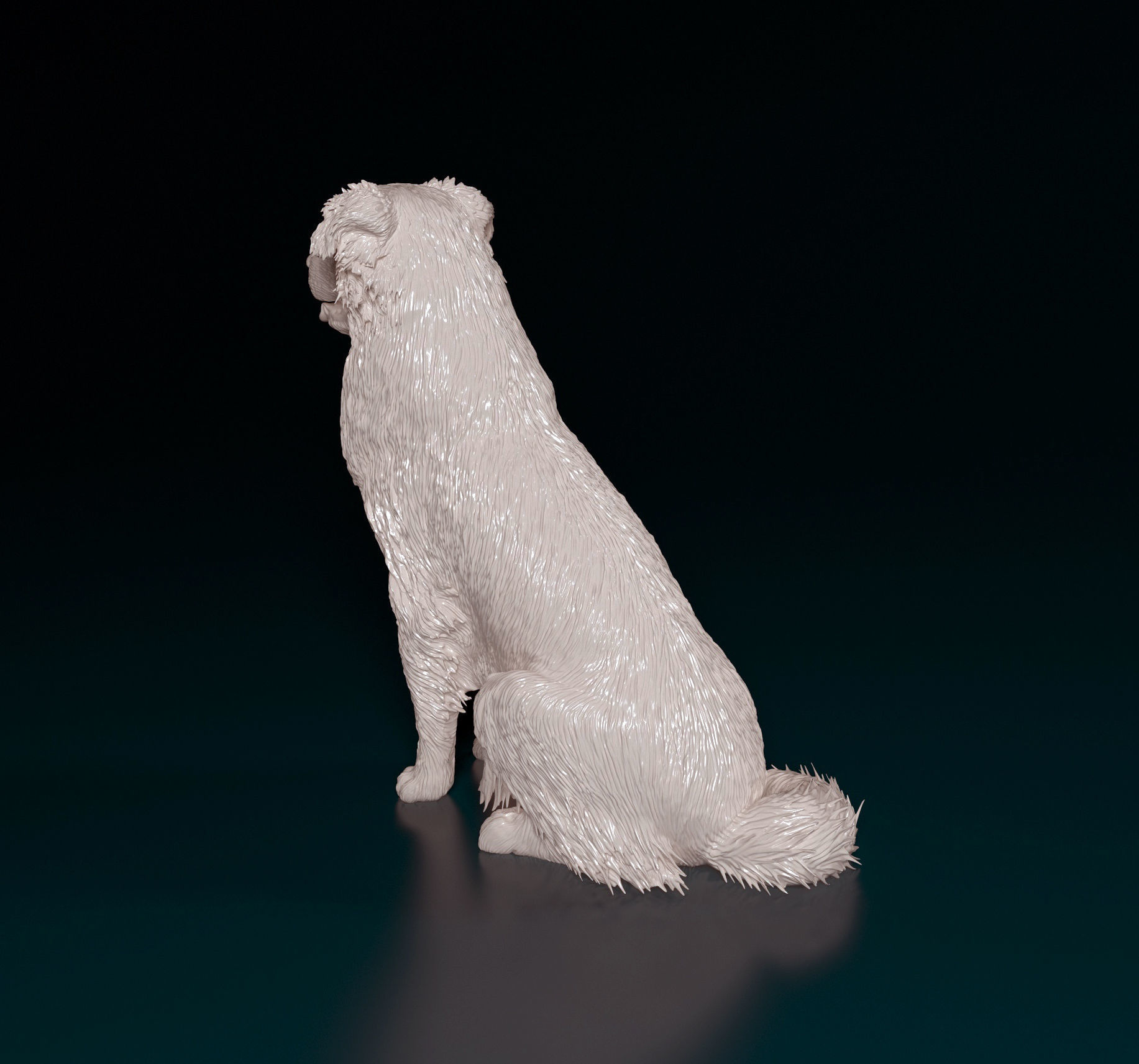 Australian shepherd dog 3D print model_8