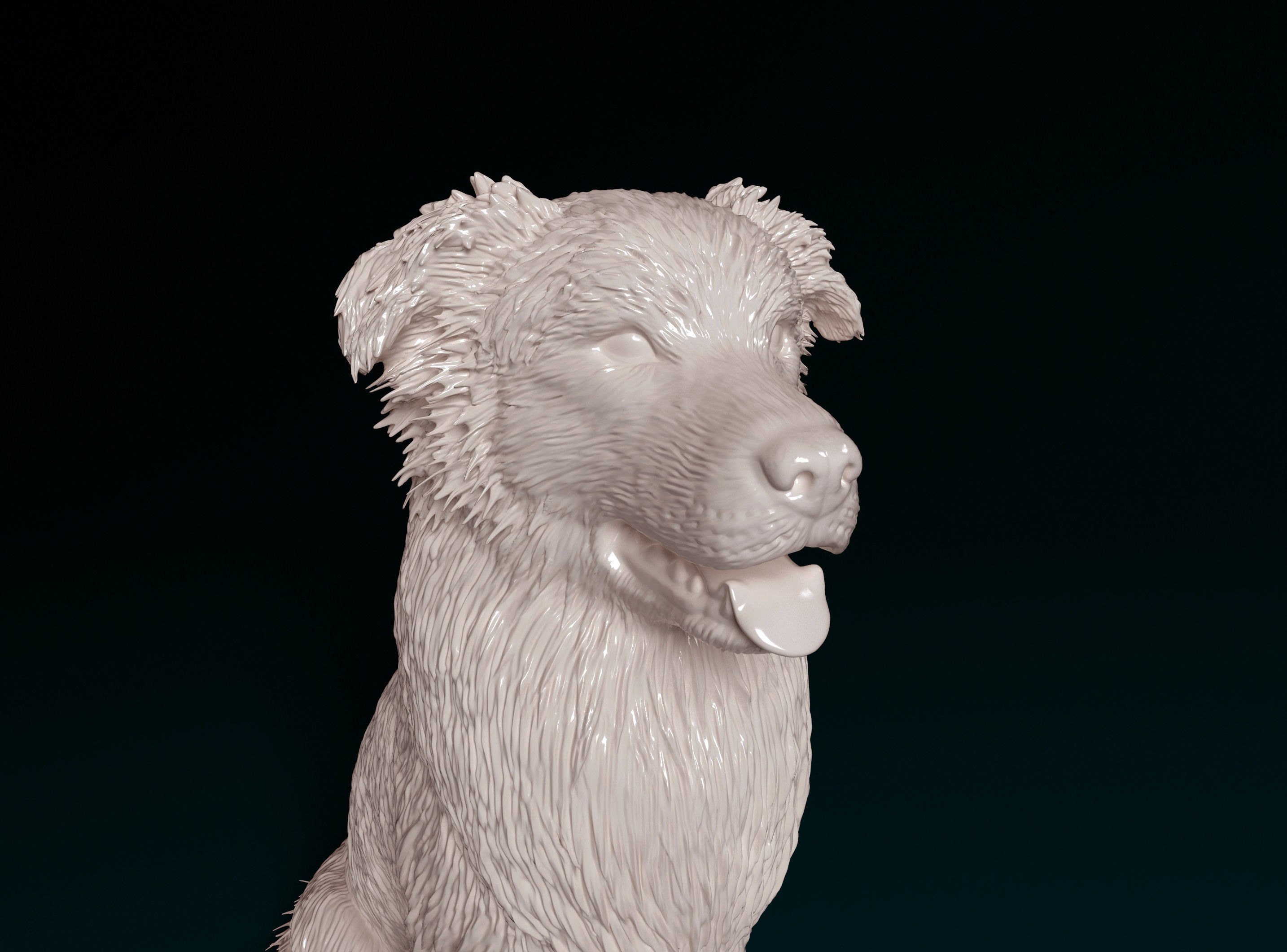 Australian shepherd dog 3D print model_12