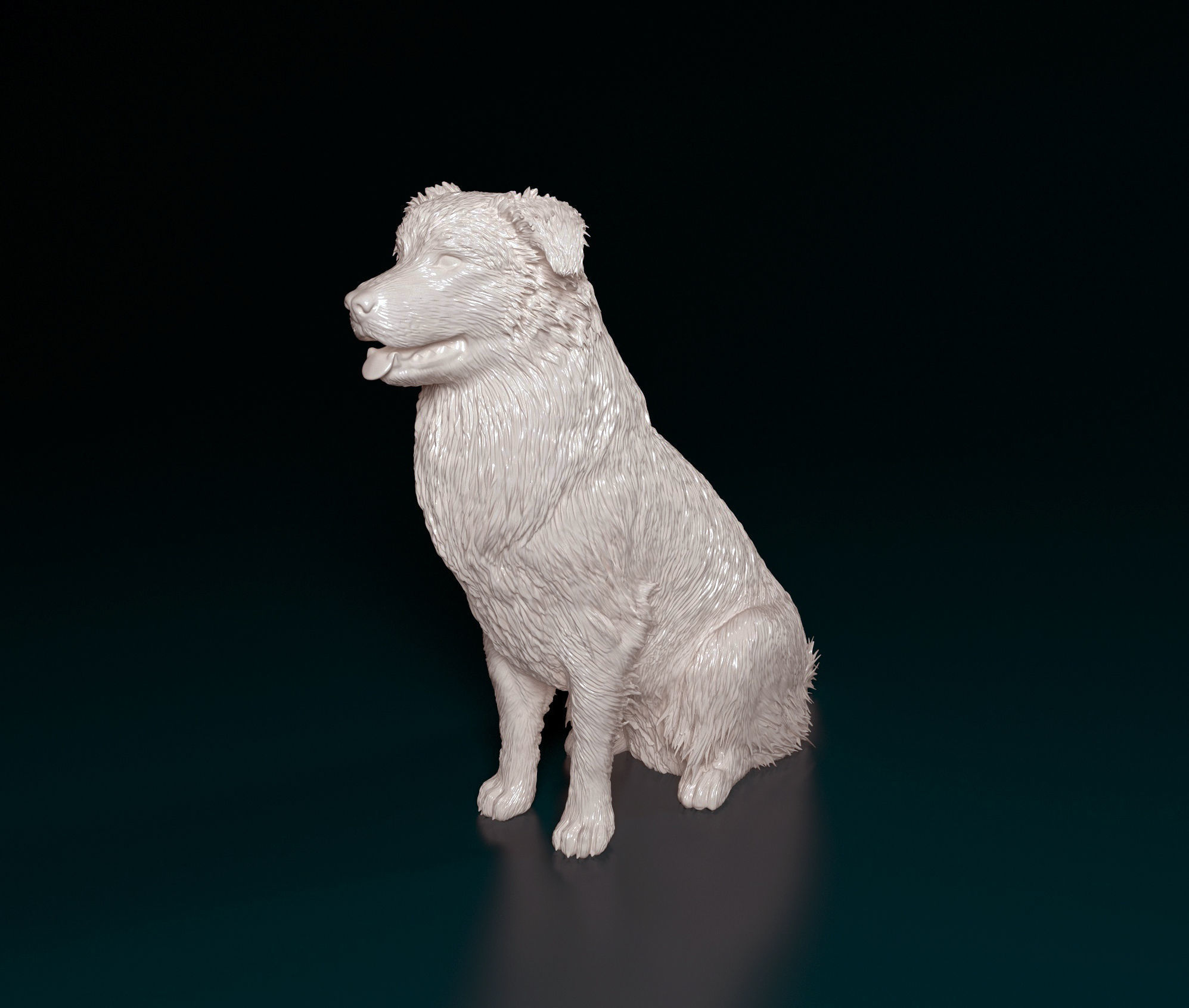 Australian shepherd dog 3D print model_10