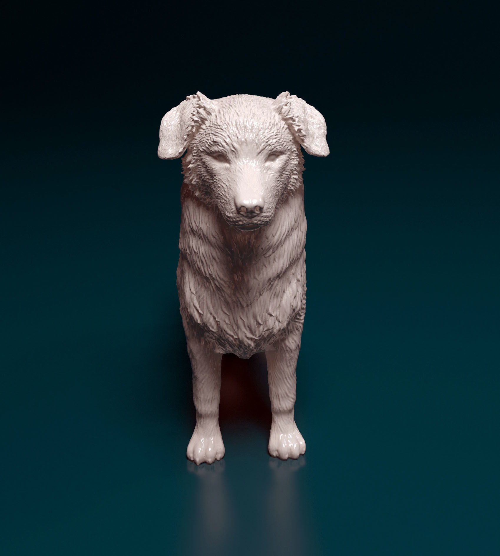 Australian shepherd 3D print model_8