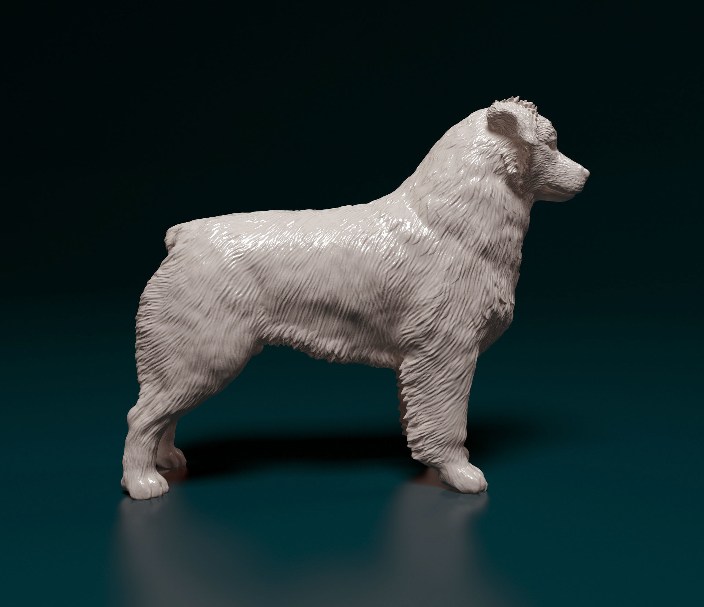 Australian shepherd 3D print model_9