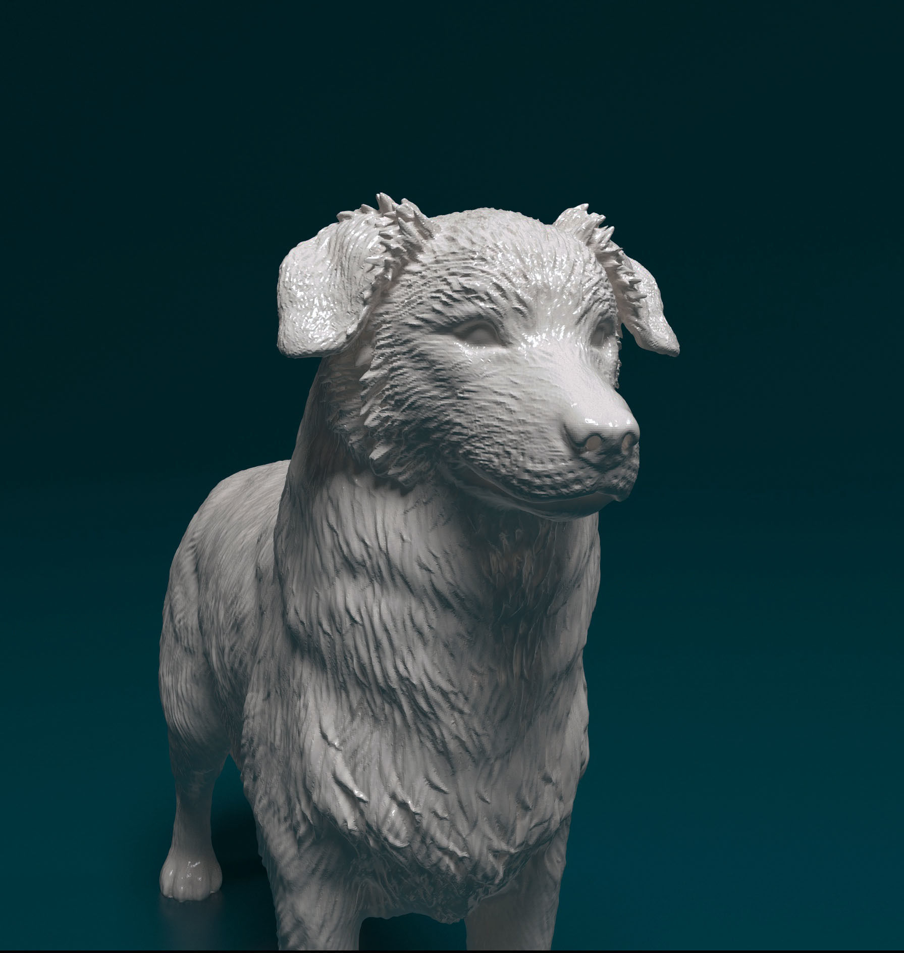 Australian shepherd 3D print model_6
