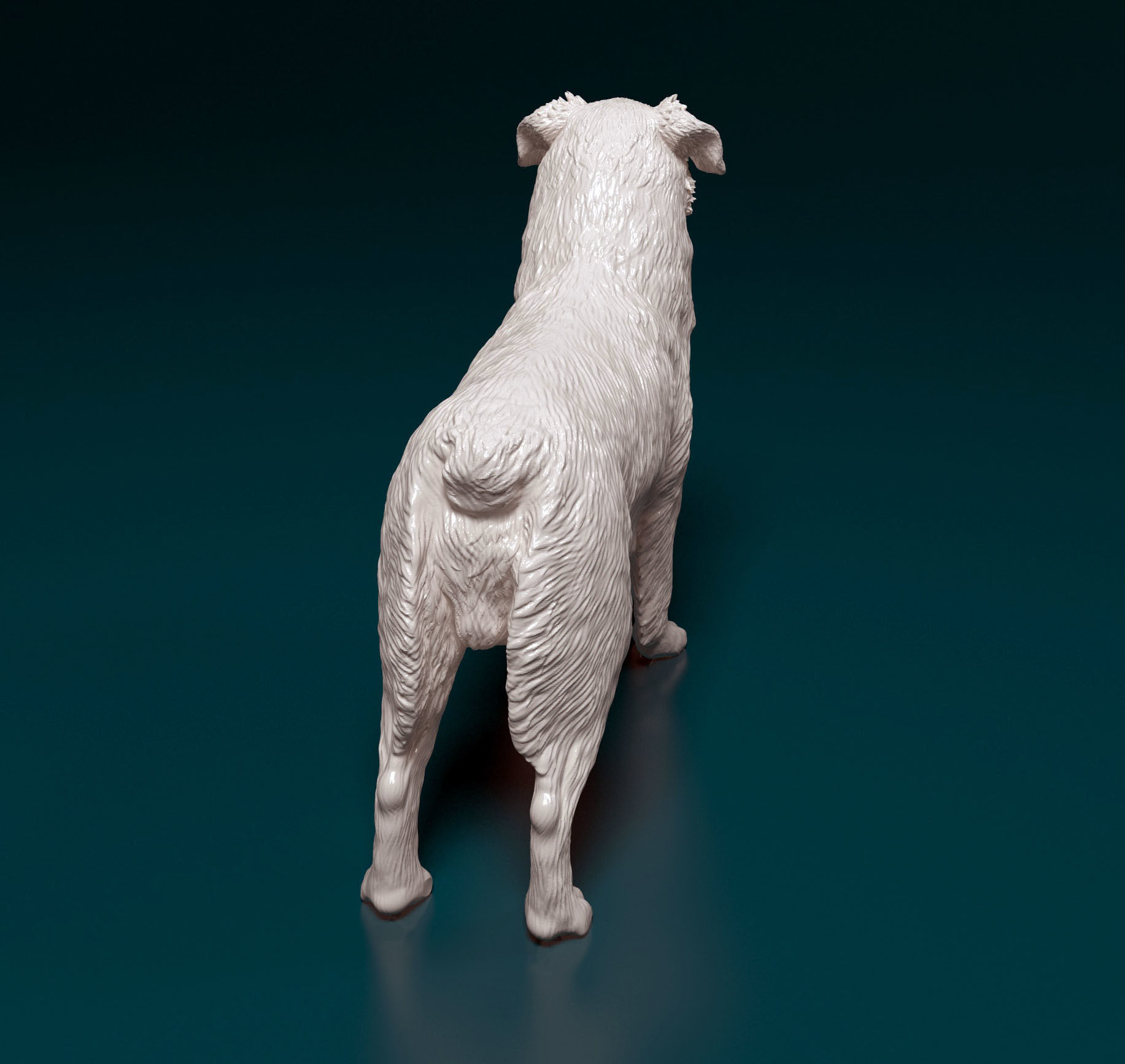 Australian shepherd 3D print model_14