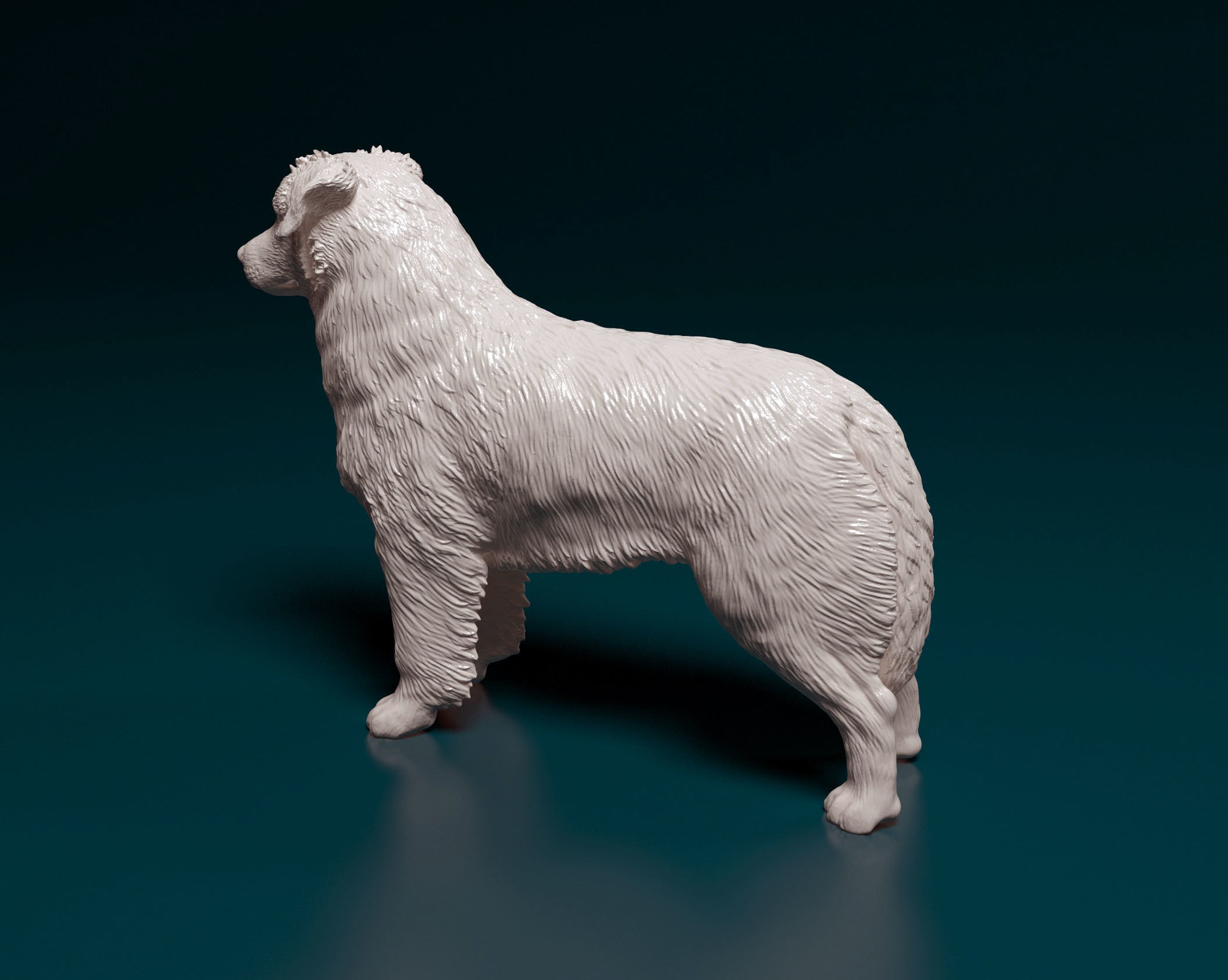 Australian shepherd 3D print model_4