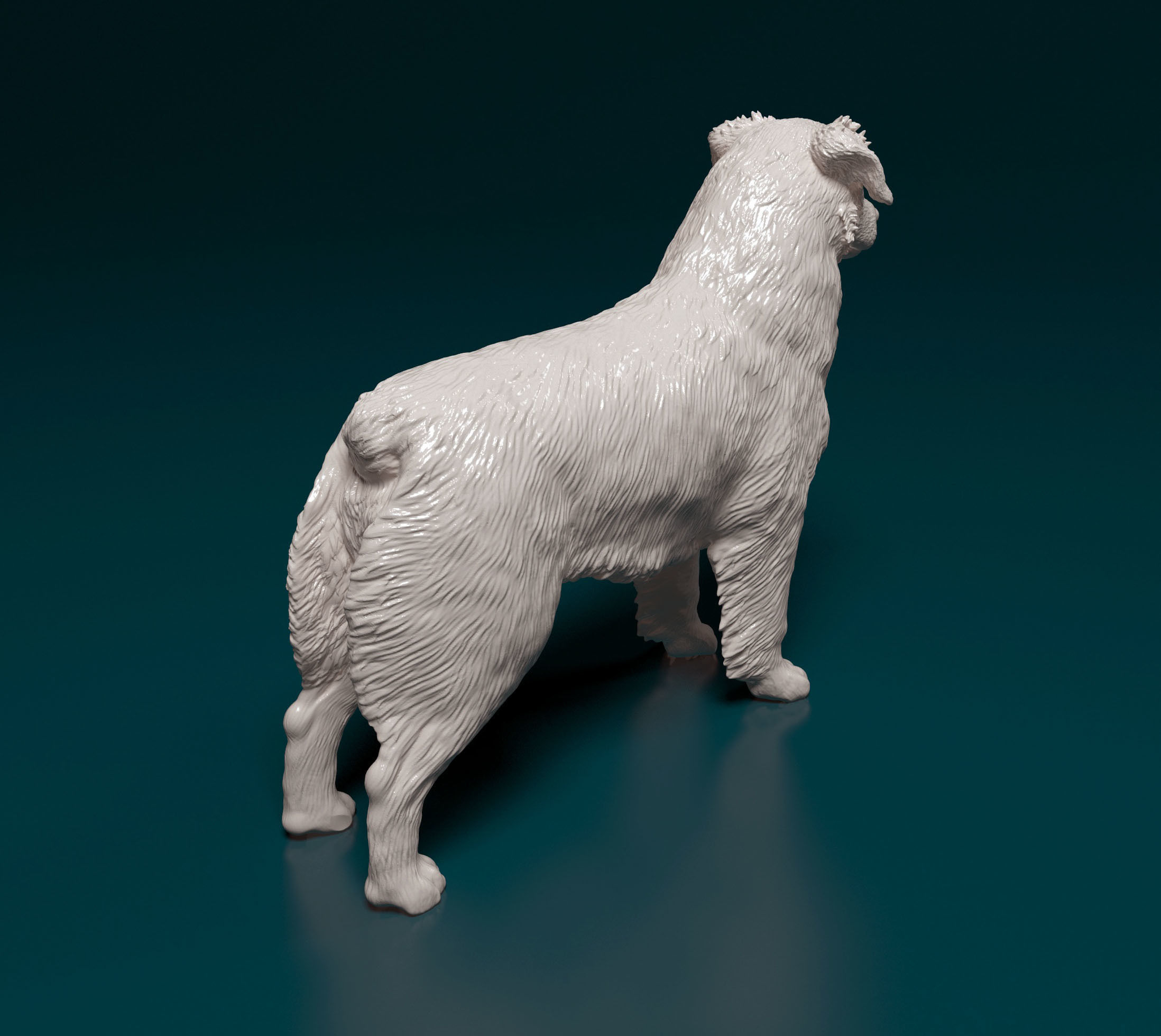 Australian shepherd 3D print model_13