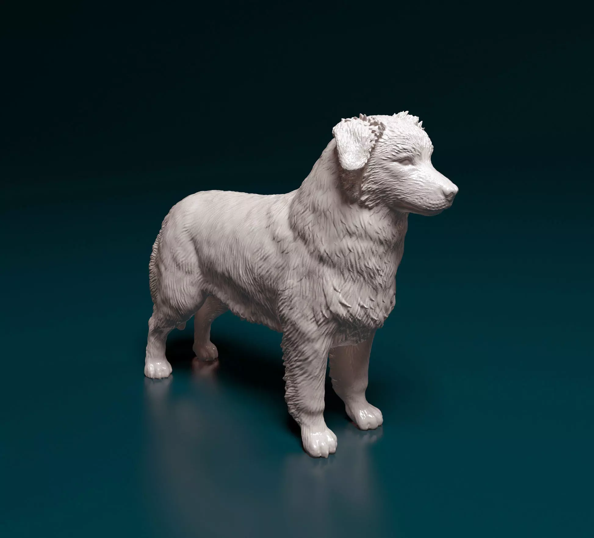 Australian shepherd 3D print model_0