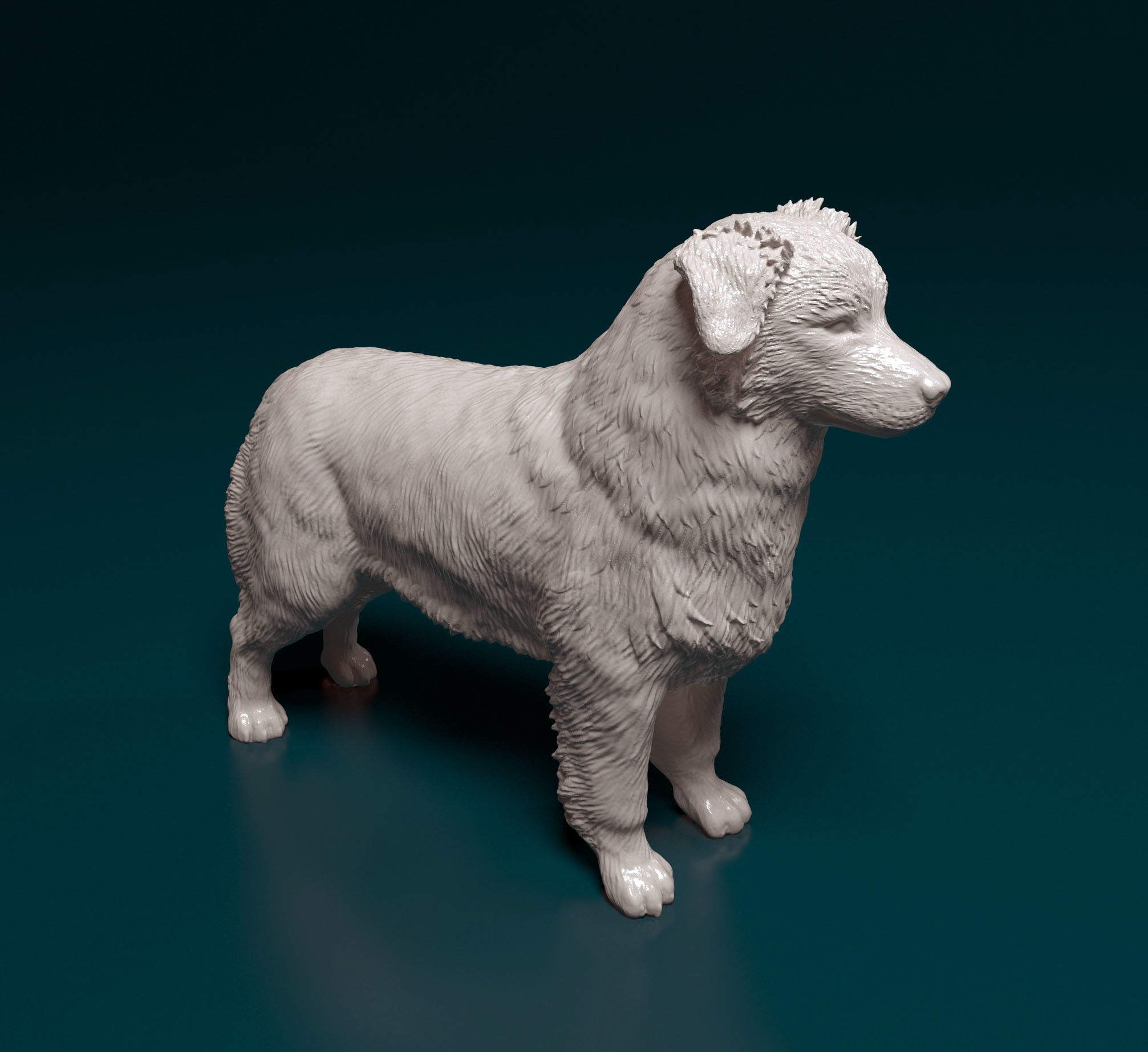 Australian shepherd 3D print model_7