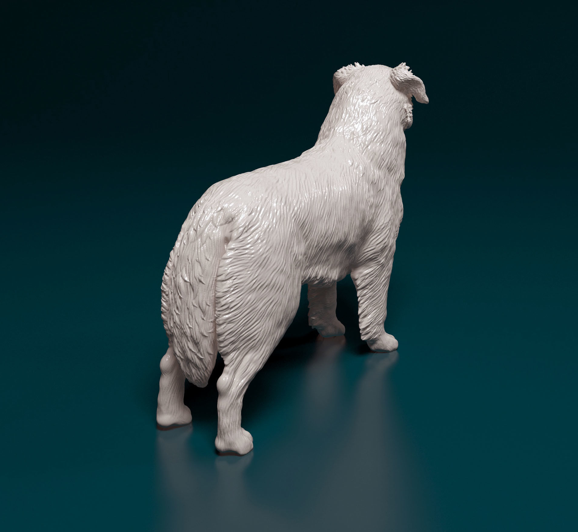 Australian shepherd 3D print model_3
