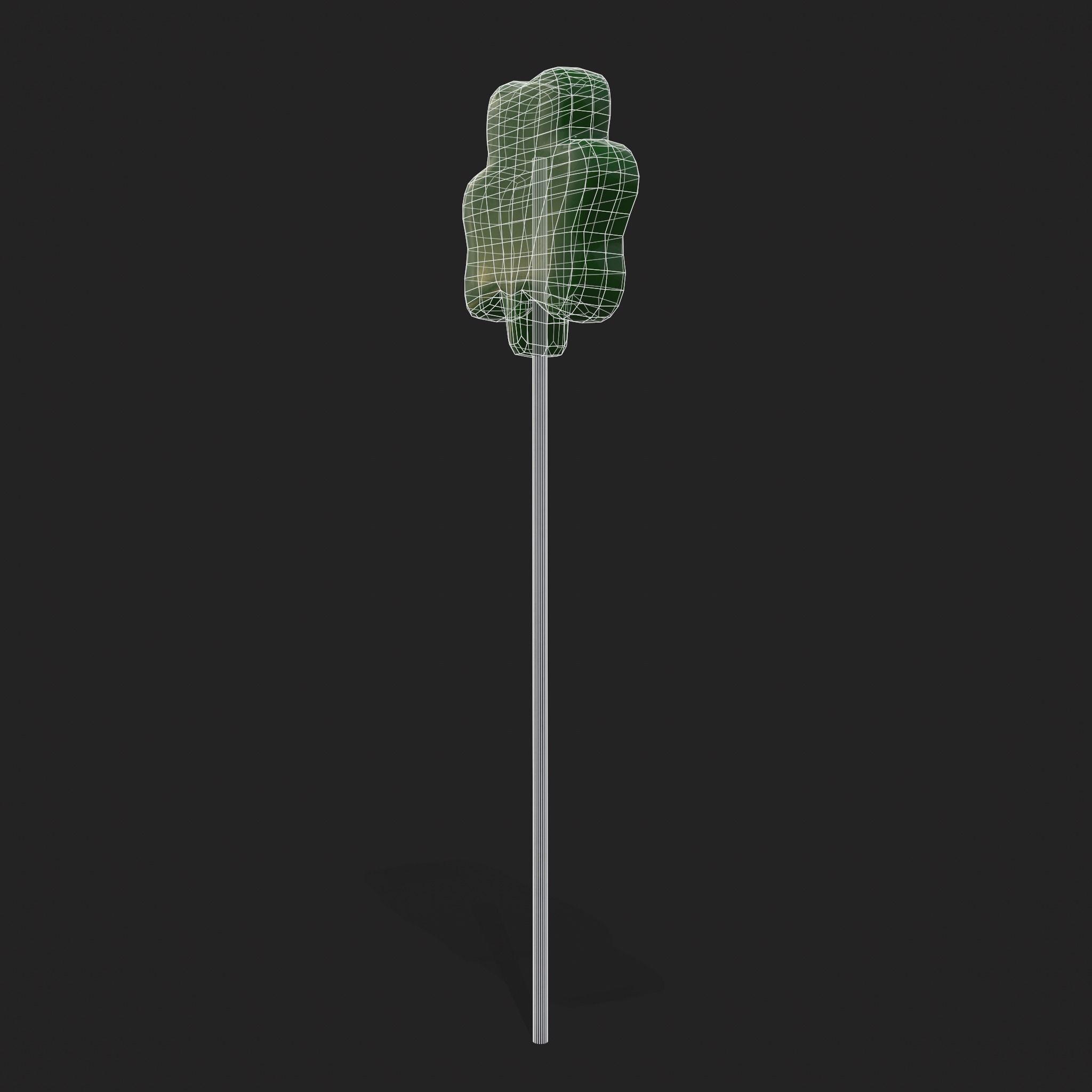 Clover Candy Sucker  Low-poly 3D model_18
