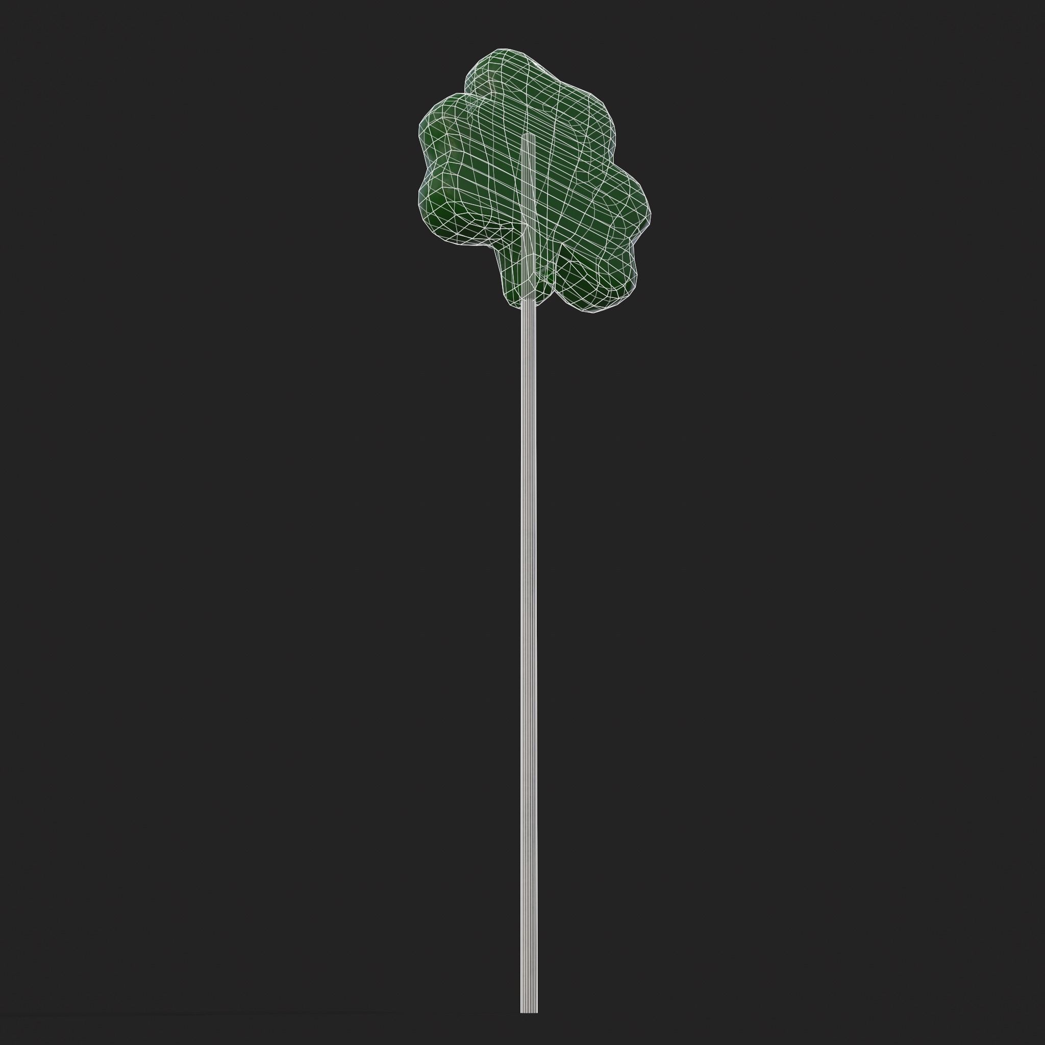 Clover Candy Sucker  Low-poly 3D model_20