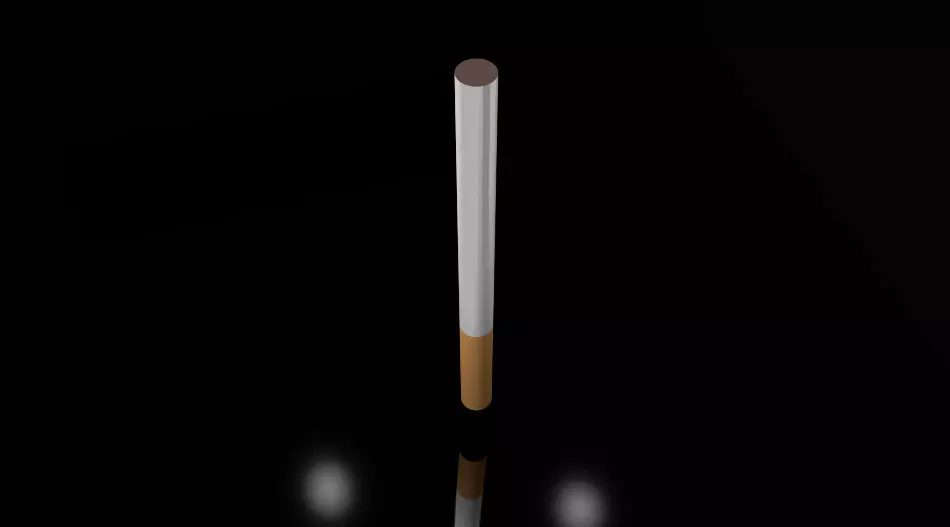 Cigarette Free 3D model_0