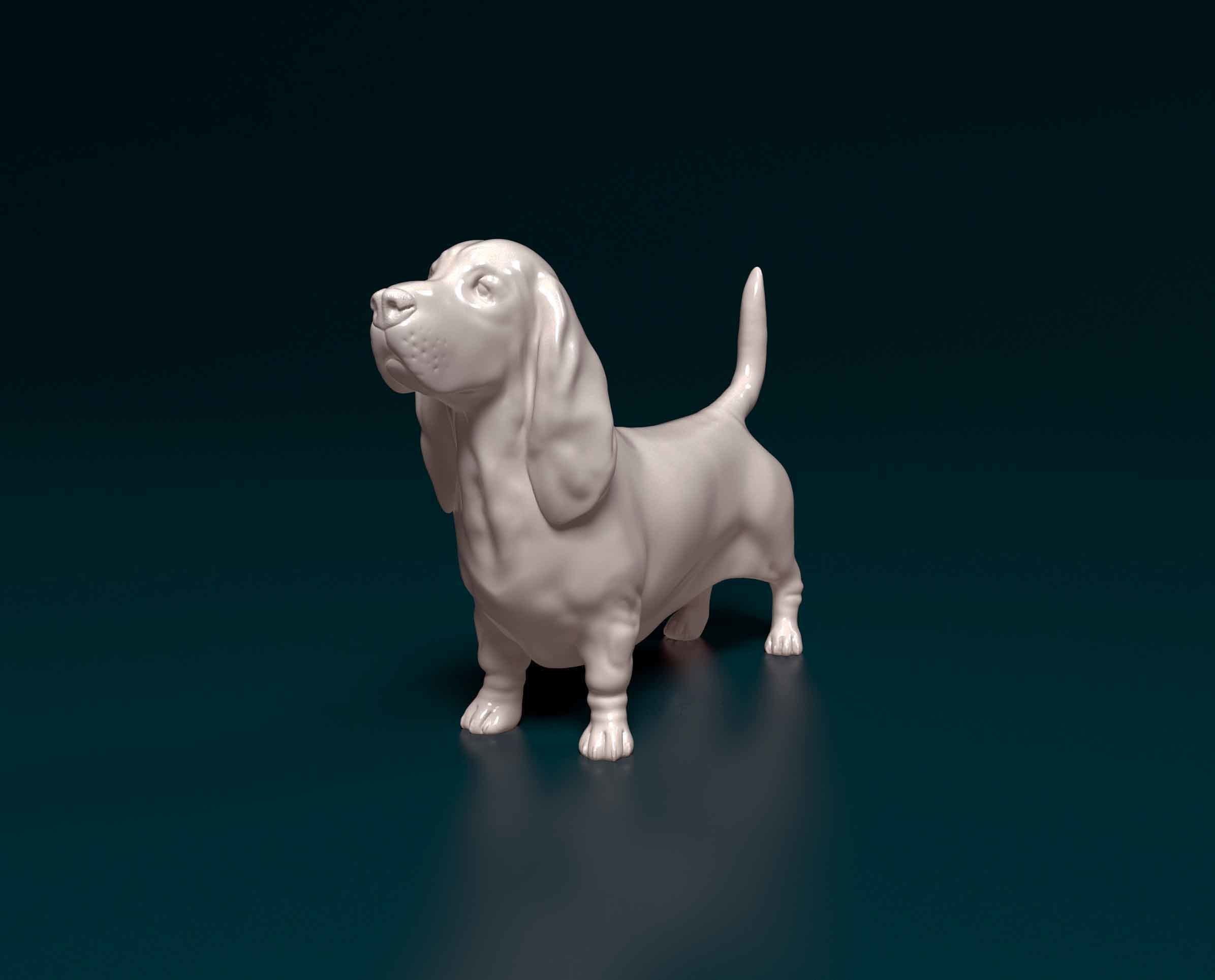 Basset hound dog 3D print model_3