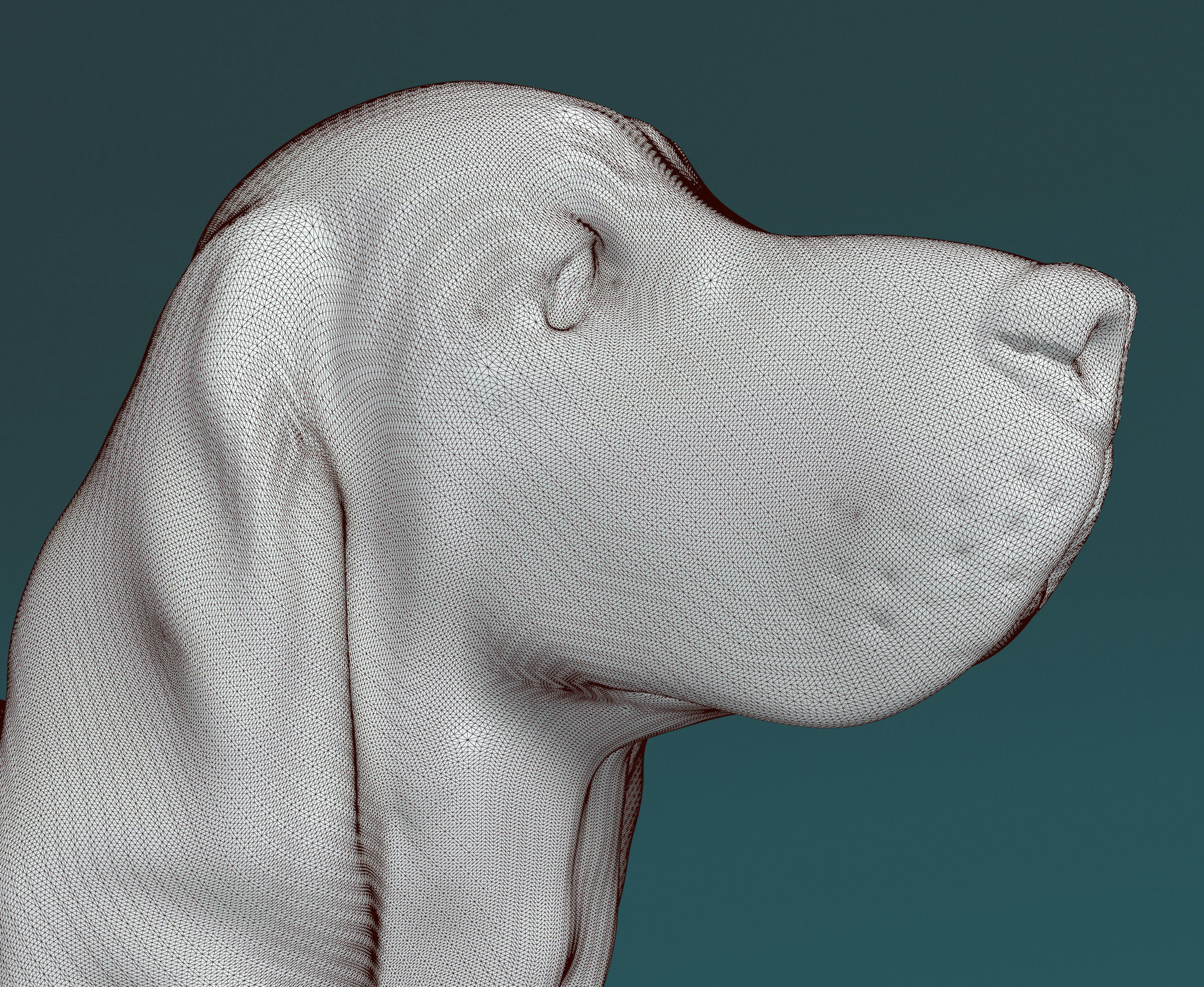 Basset hound dog 3D print model_5