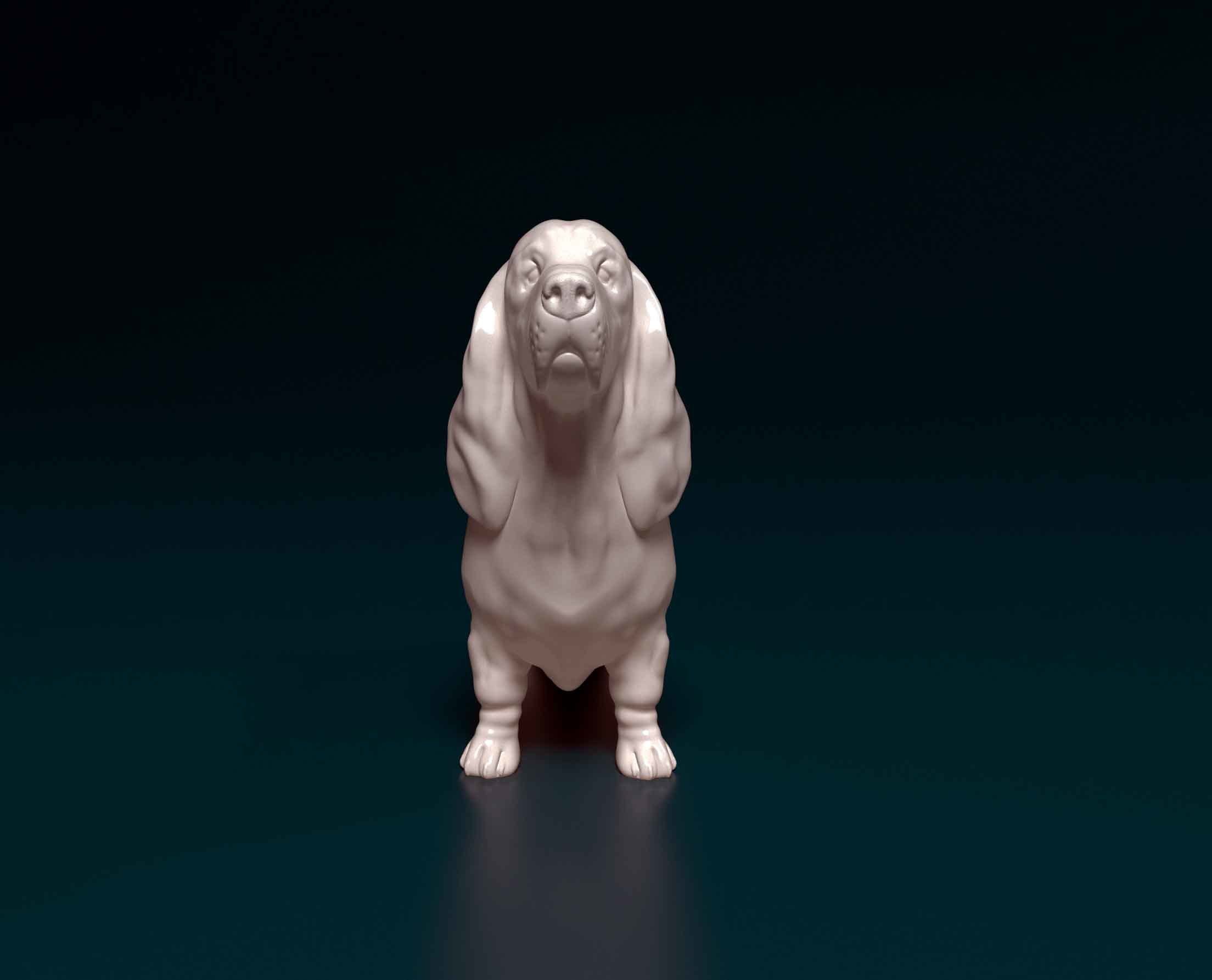 Basset hound dog 3D print model_2