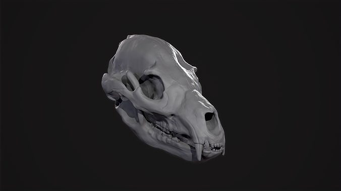 Bear Skull for Printing 3D print model