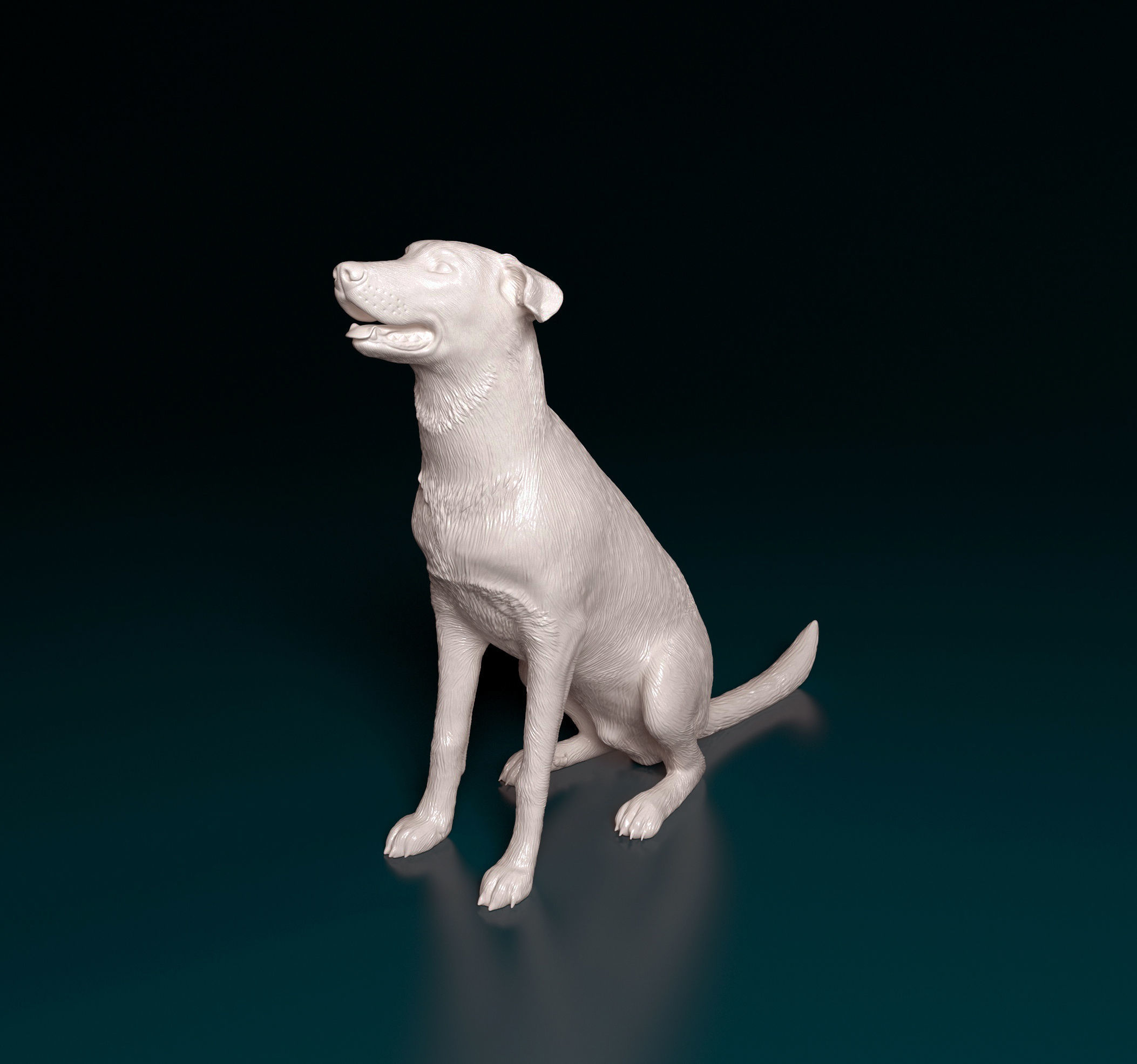 Bauceron dog 3D print model_6