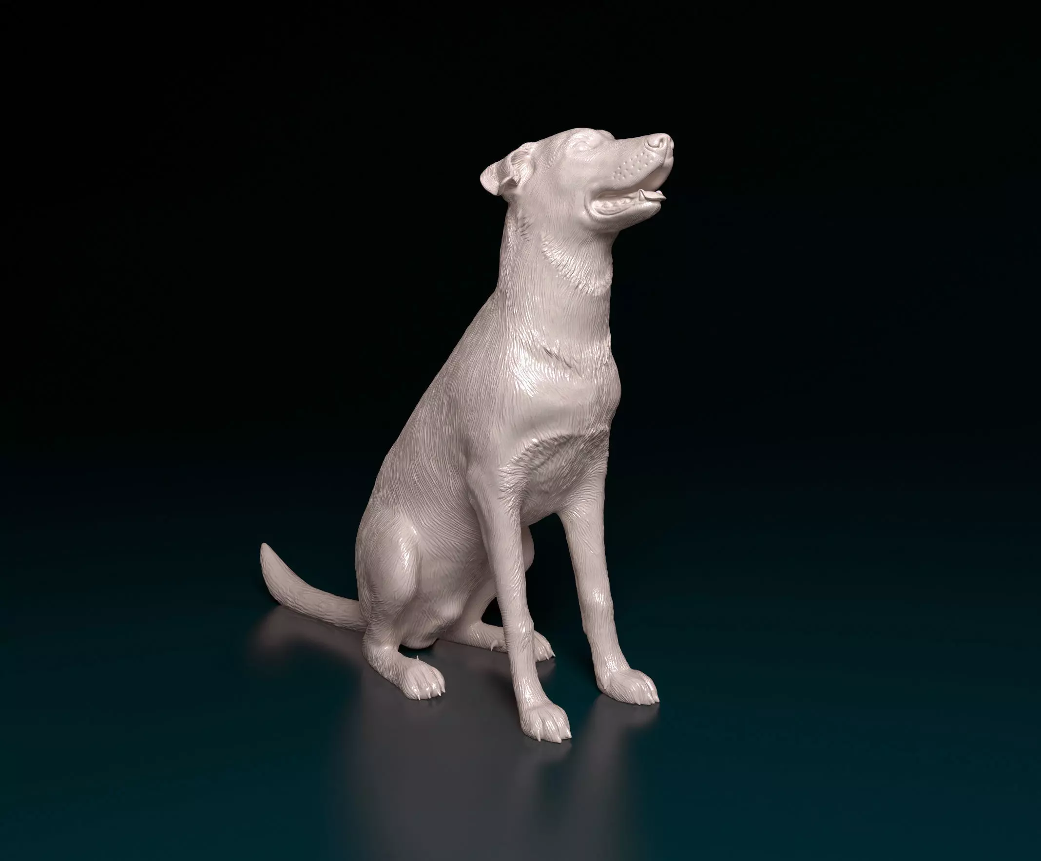 Bauceron dog 3D print model_0
