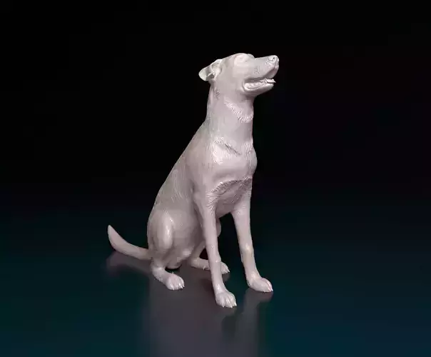 Bauceron dog 3D print model