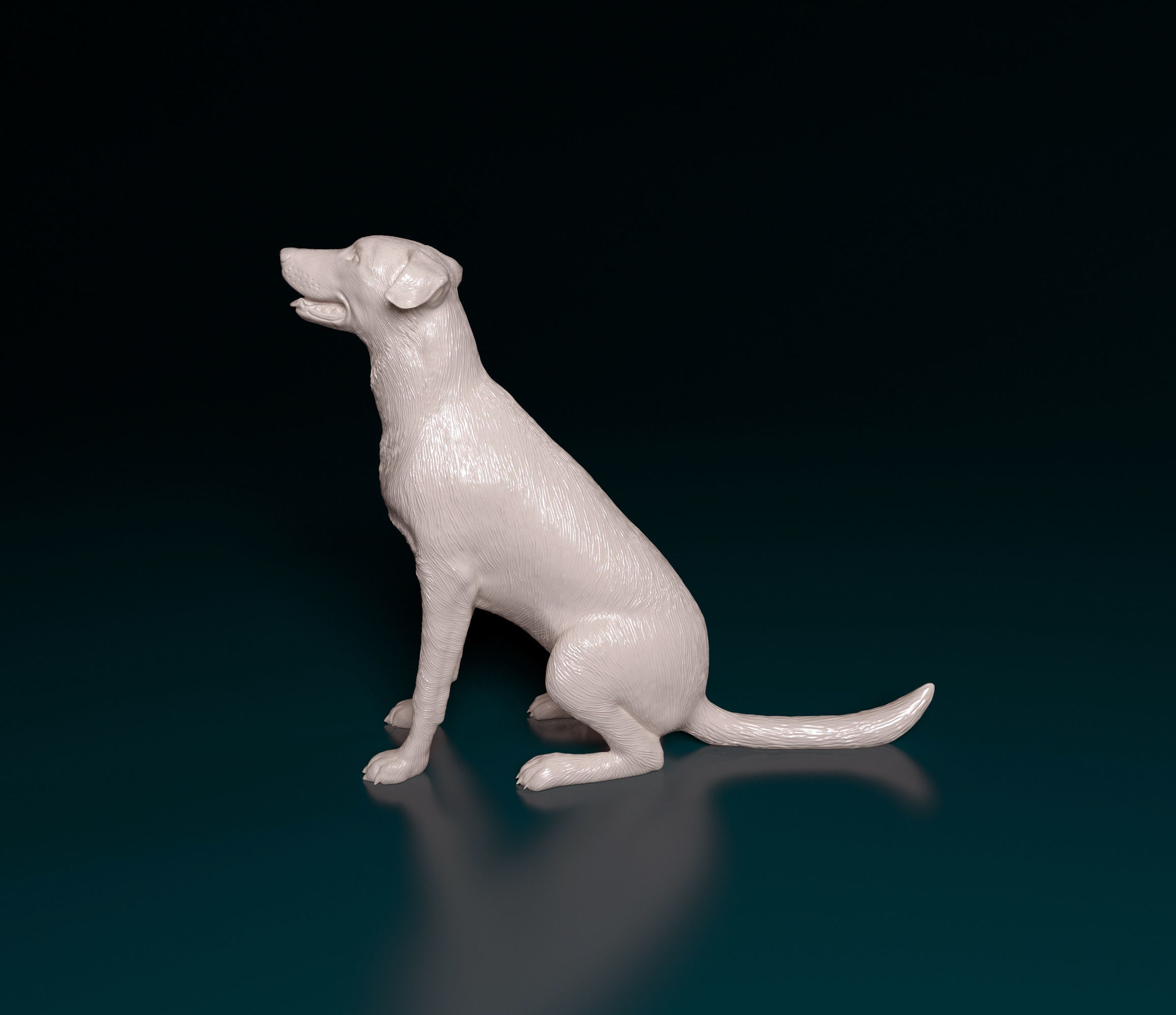 Bauceron dog 3D print model_5