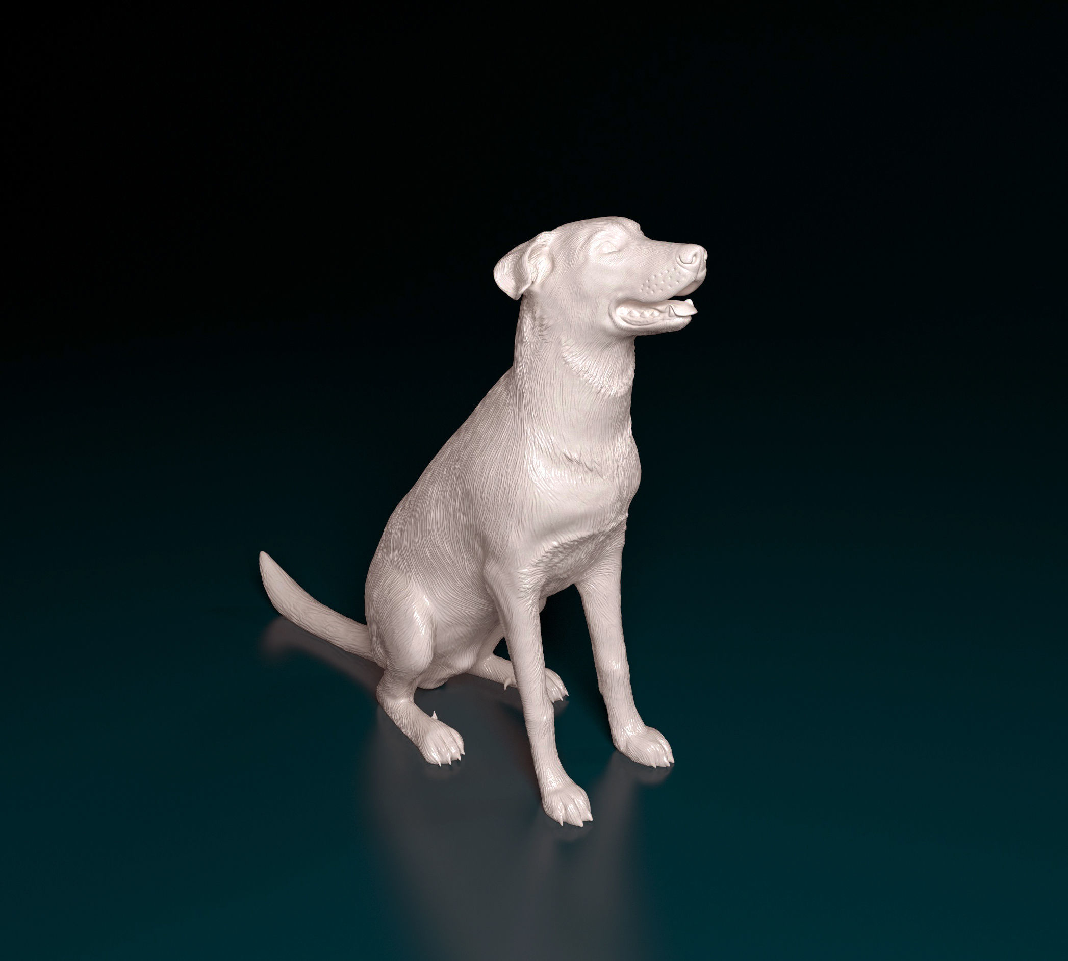 Bauceron dog 3D print model_1