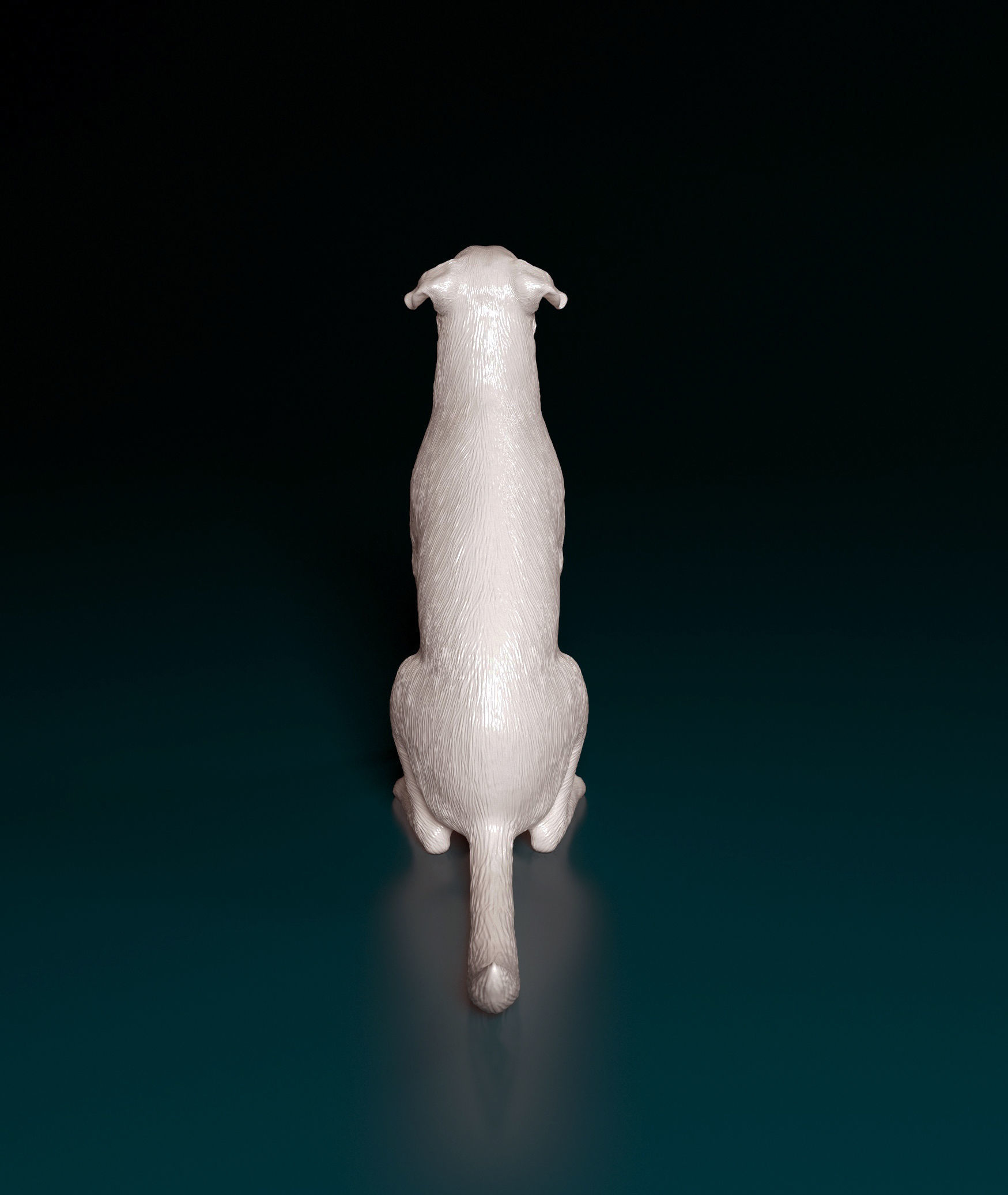 Bauceron dog 3D print model_4
