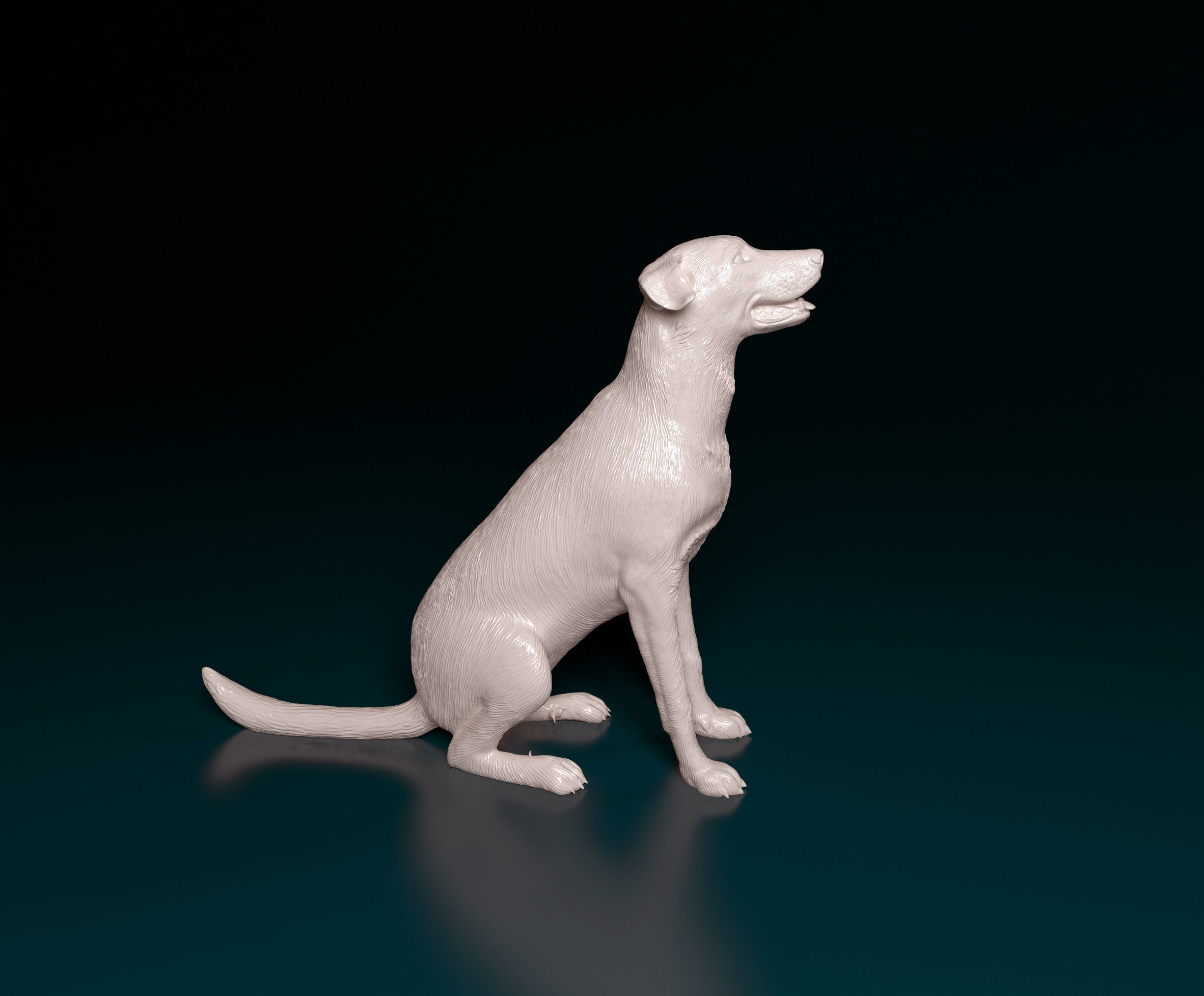 Bauceron dog 3D print model_2