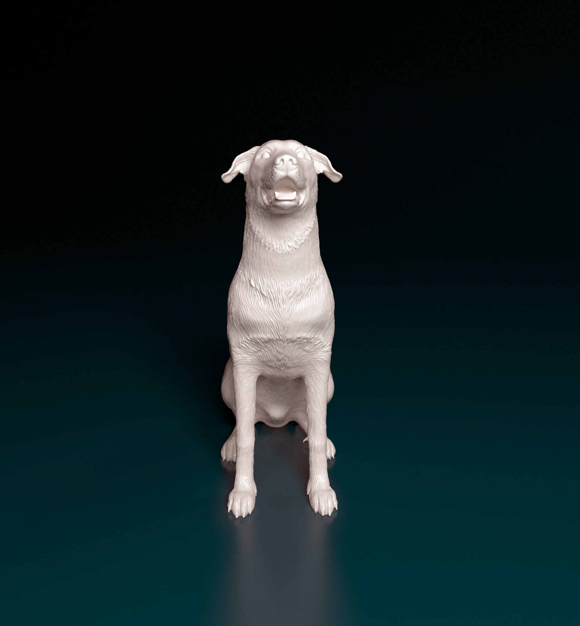 Bauceron dog 3D print model_7