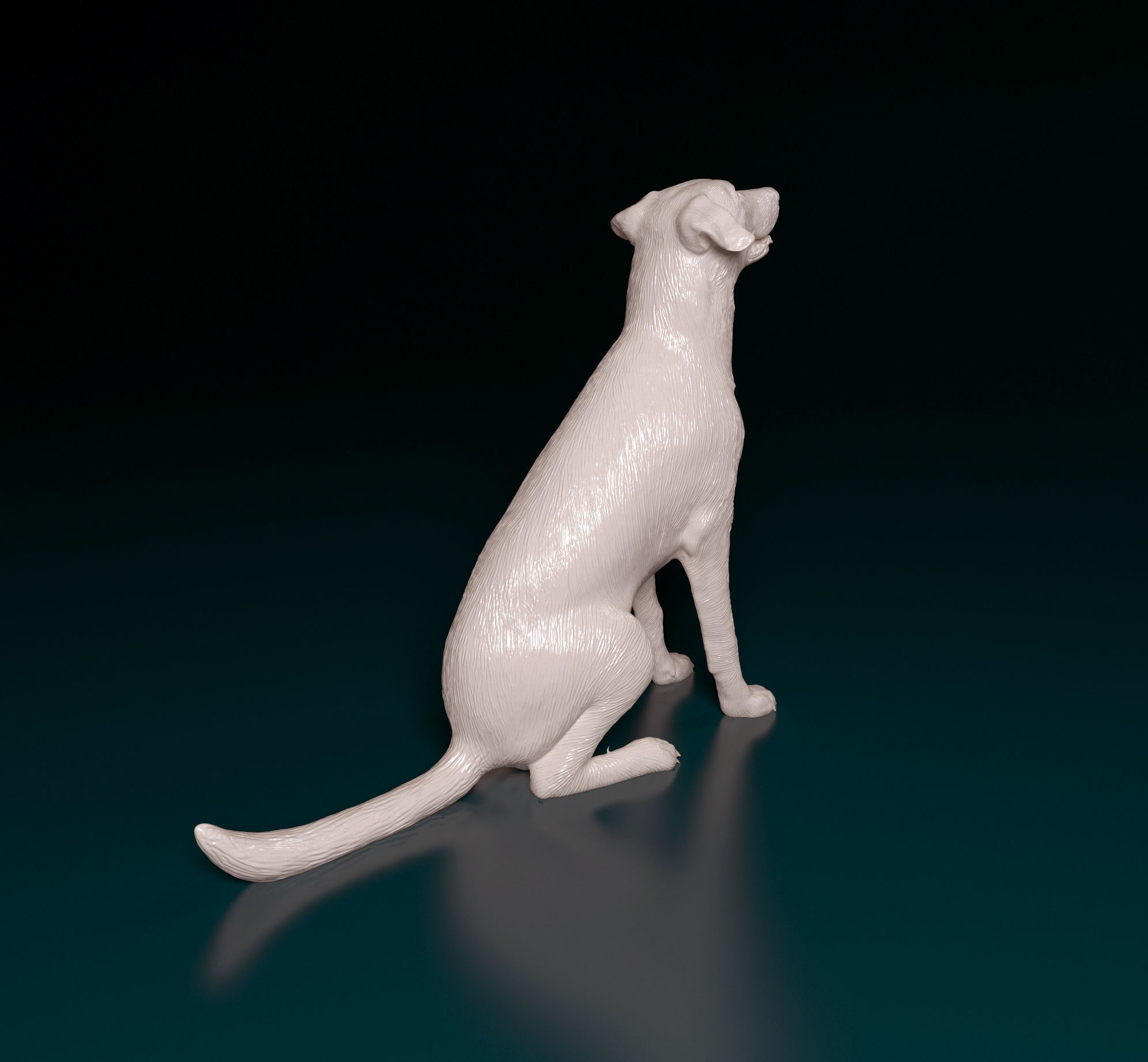 Bauceron dog 3D print model_3
