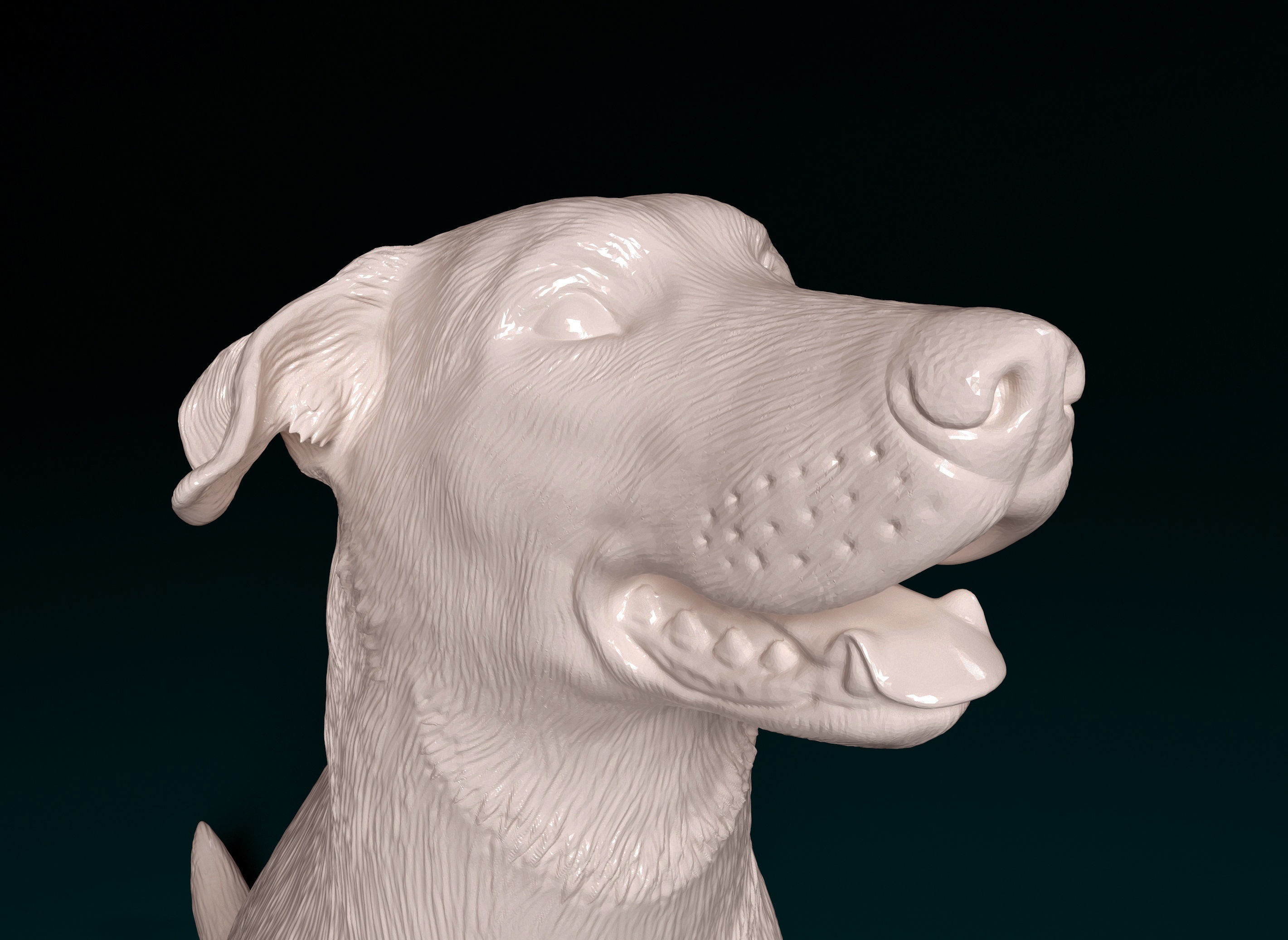 Bauceron dog 3D print model_8