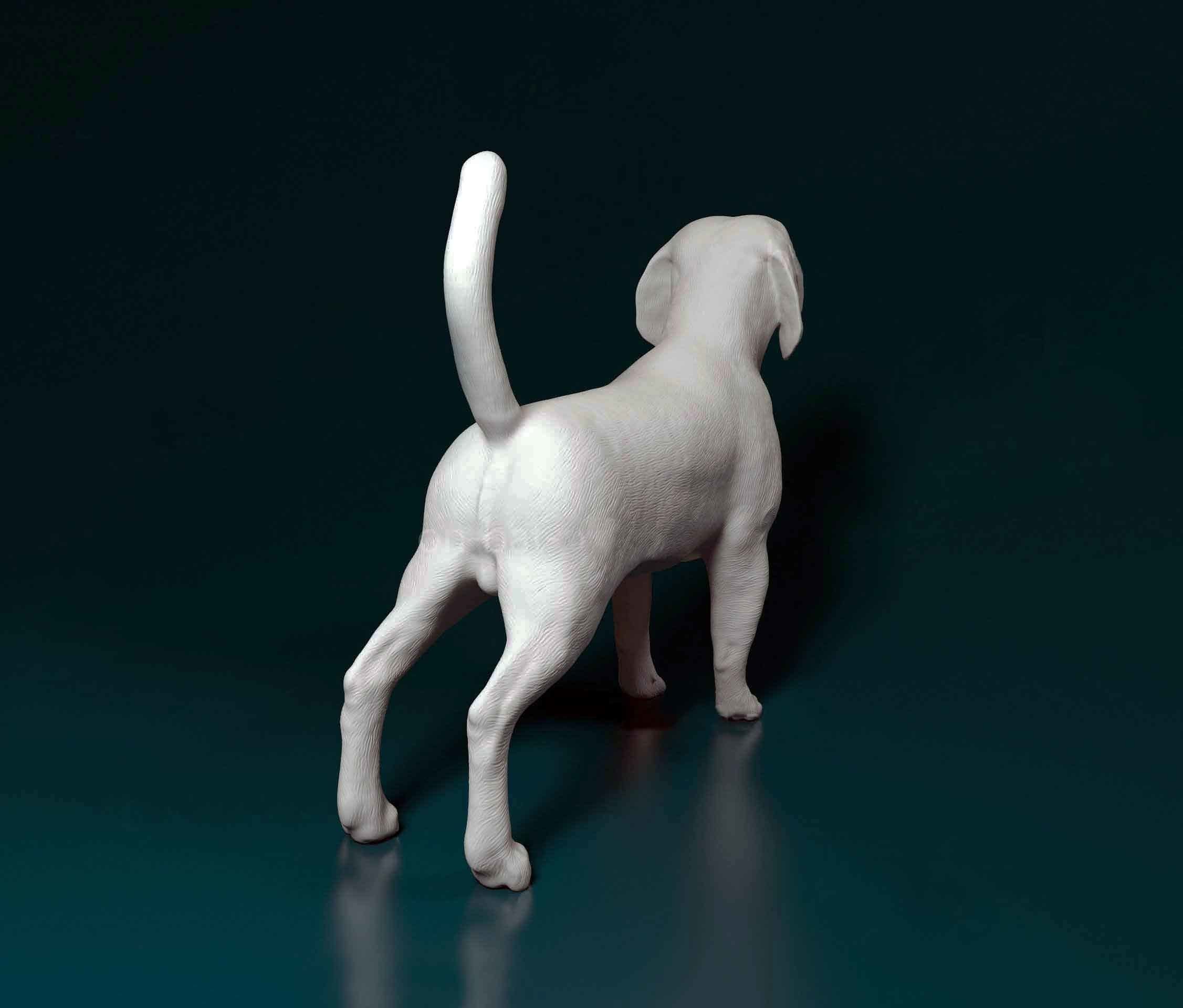 Beagle dog 3D print model_2
