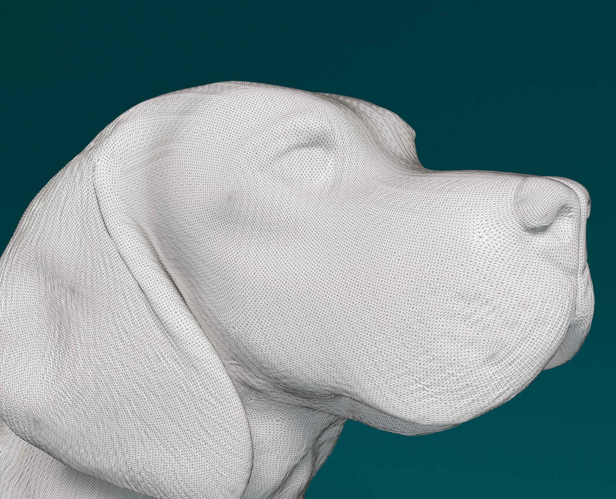 Beagle dog 3D print model_5