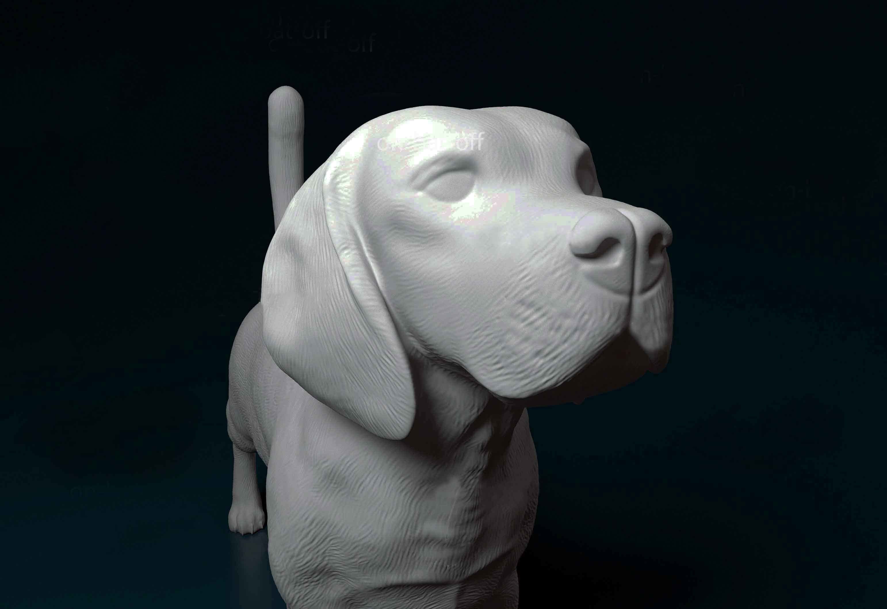 Beagle dog 3D print model_1
