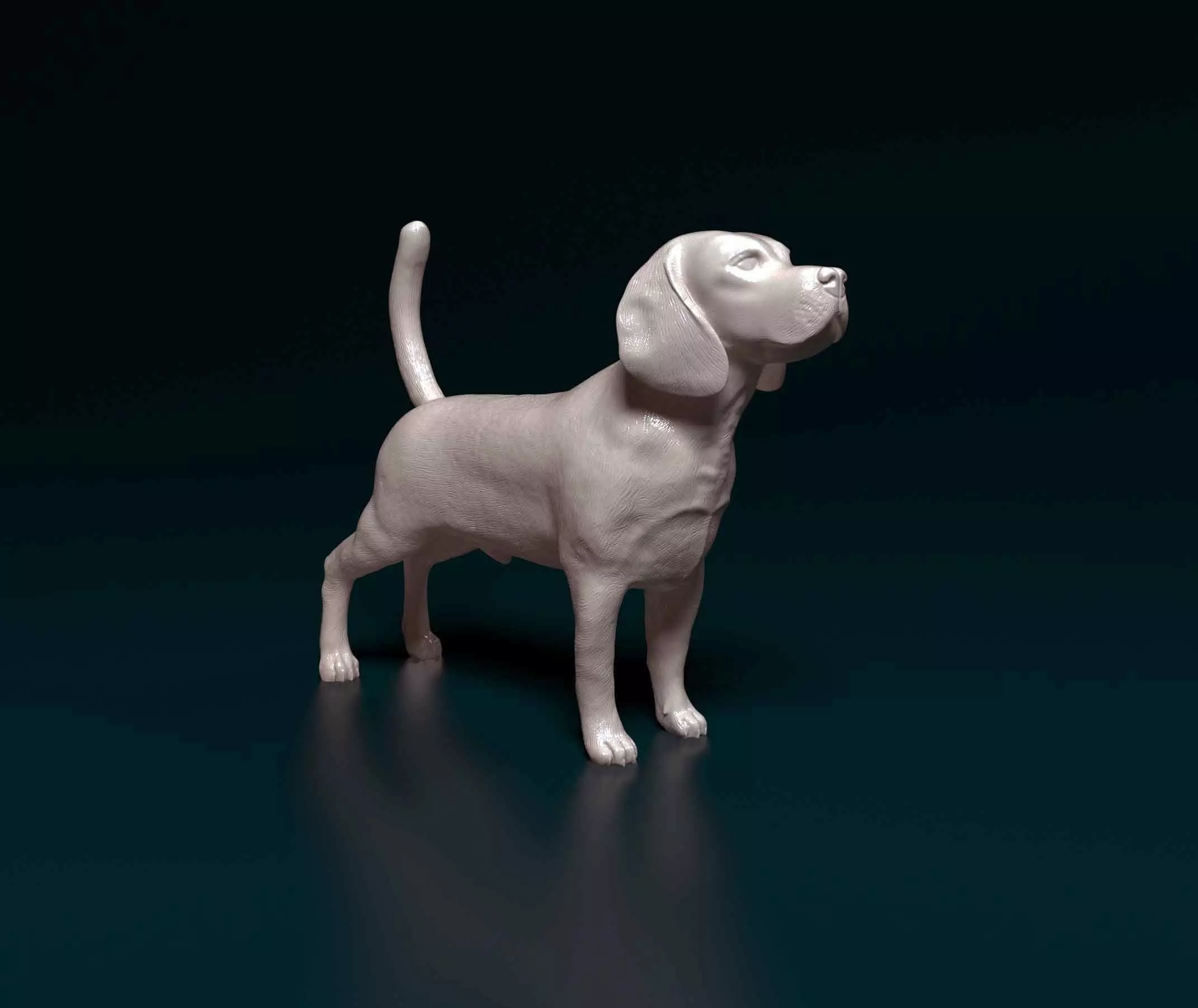 Beagle dog 3D print model_0