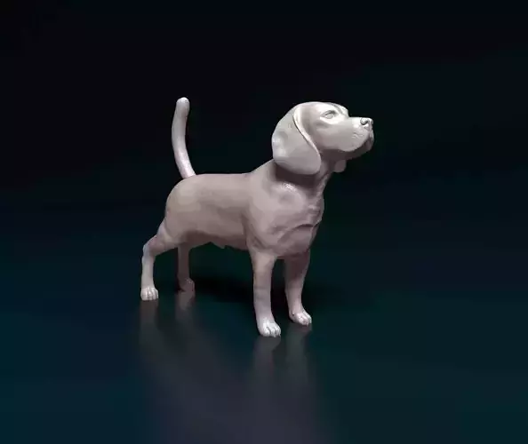 Beagle dog 3D print model