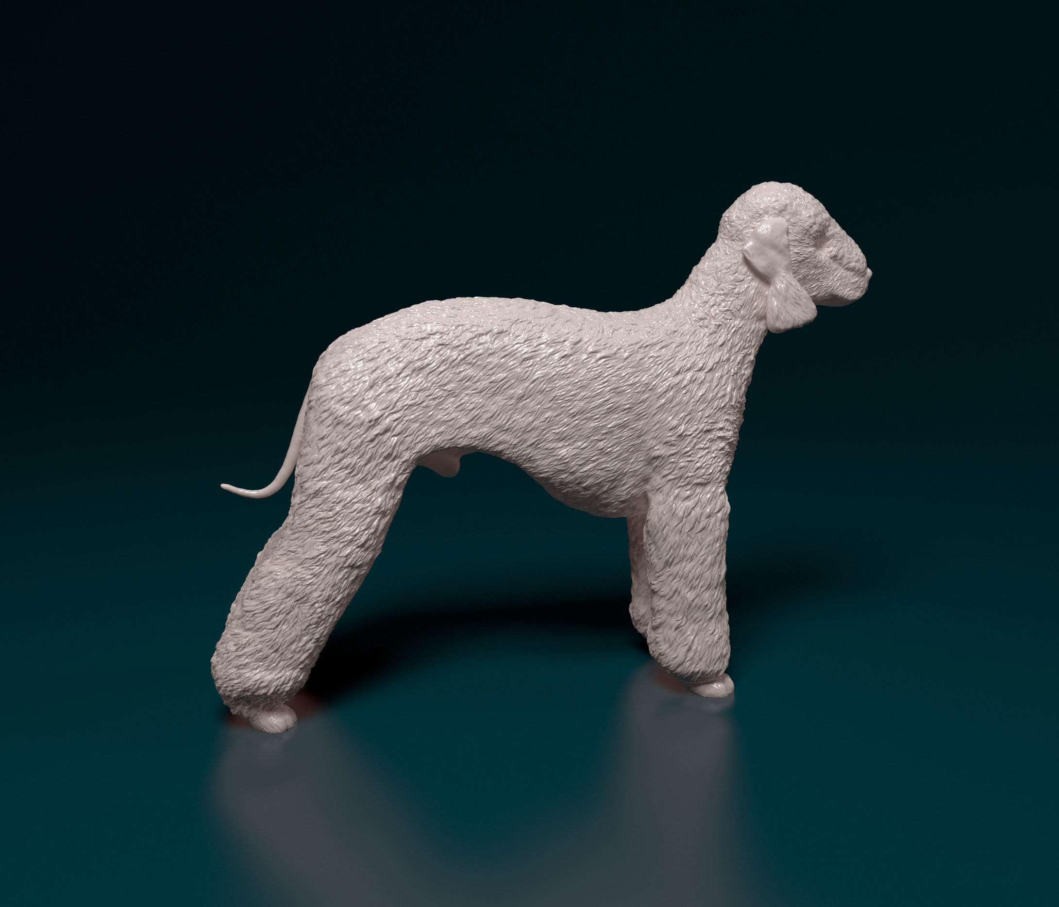 Bedlington terrier 3D print model_2