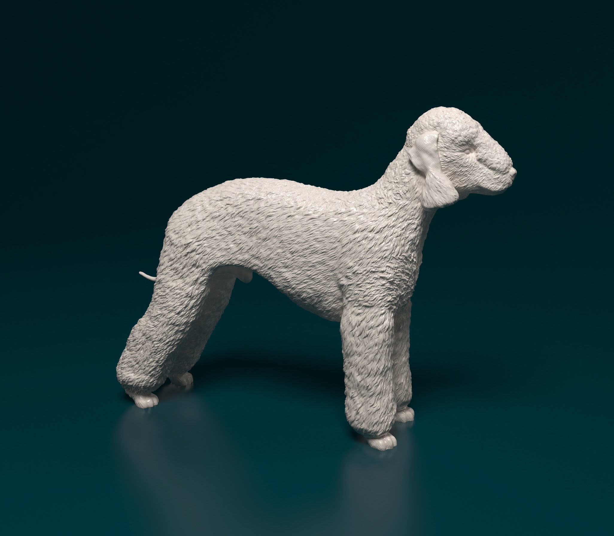 Bedlington terrier 3D print model_1
