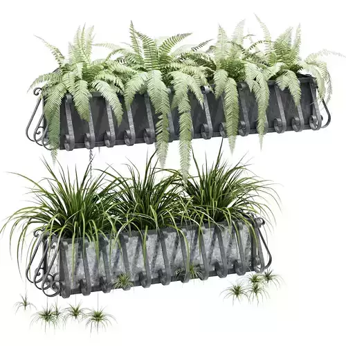European ferns and plants in metal planter