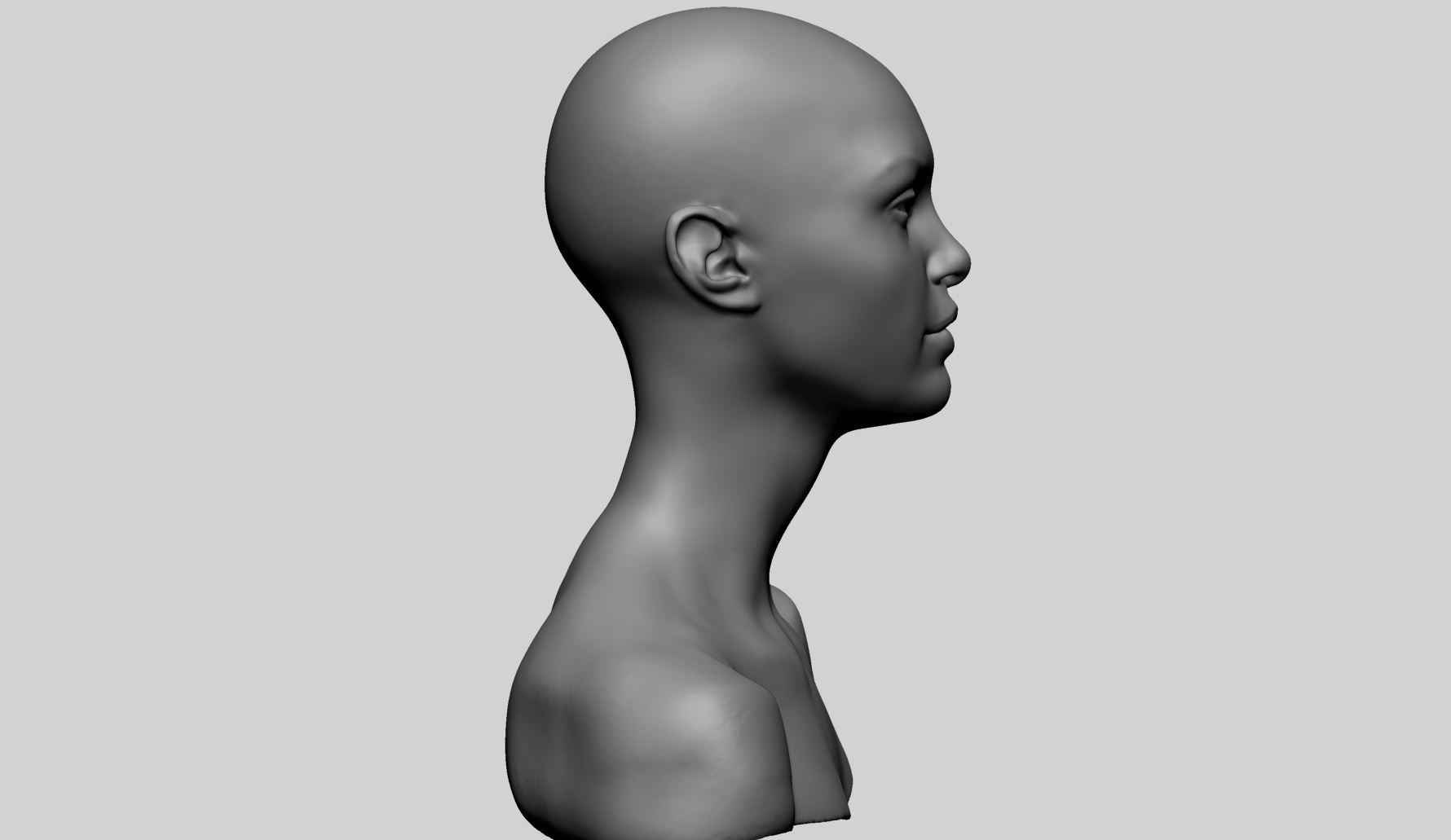 Female Head v18 3D model_3