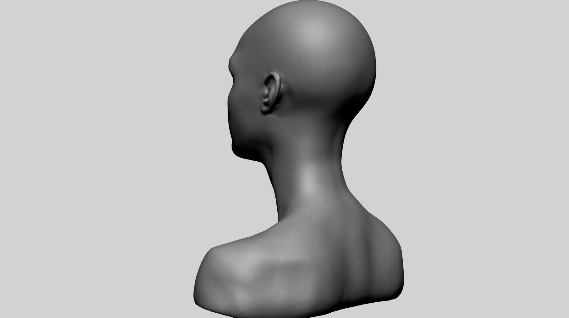 Female Head v18 3D model_6
