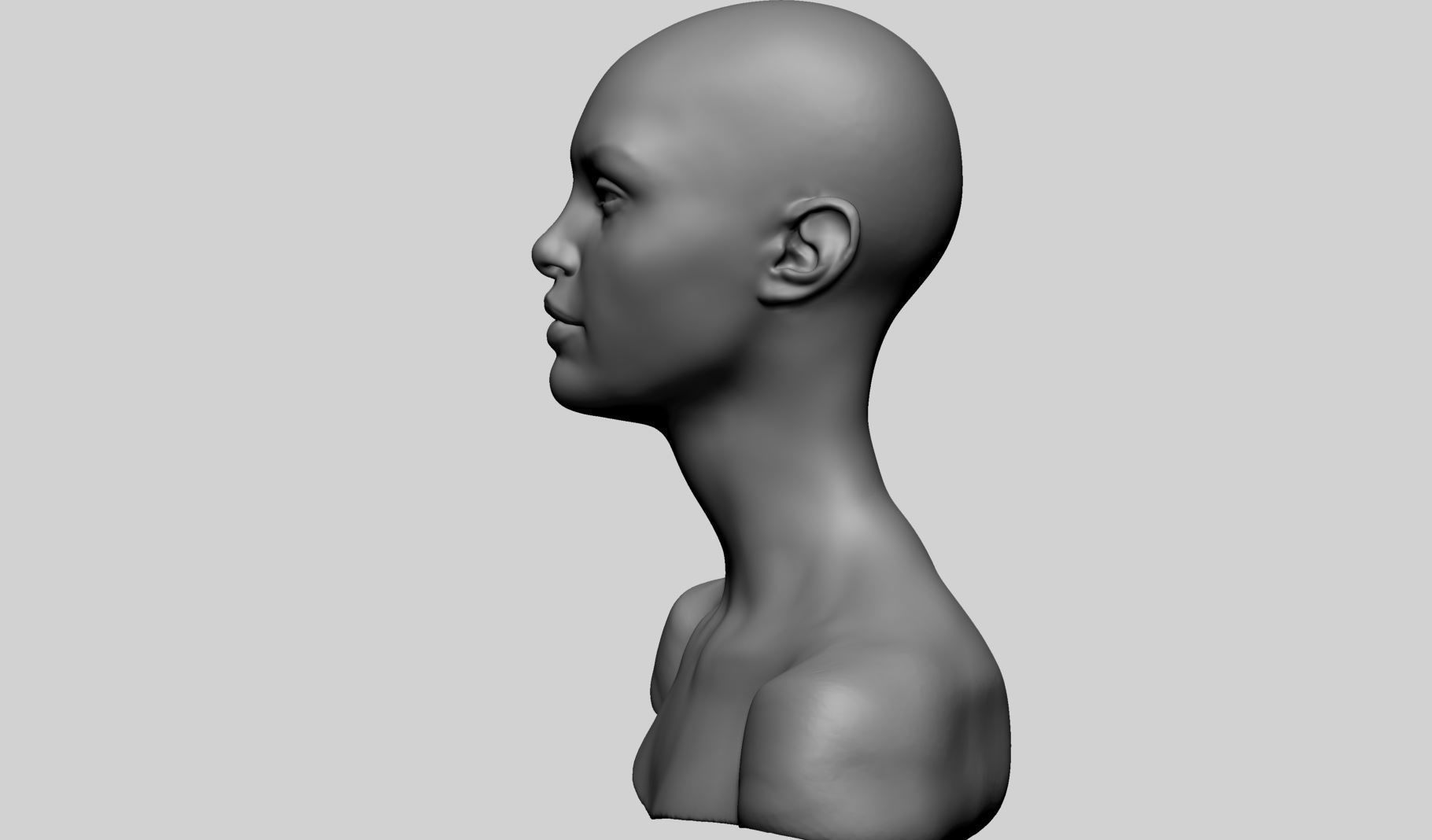 Female Head v18 3D model_7