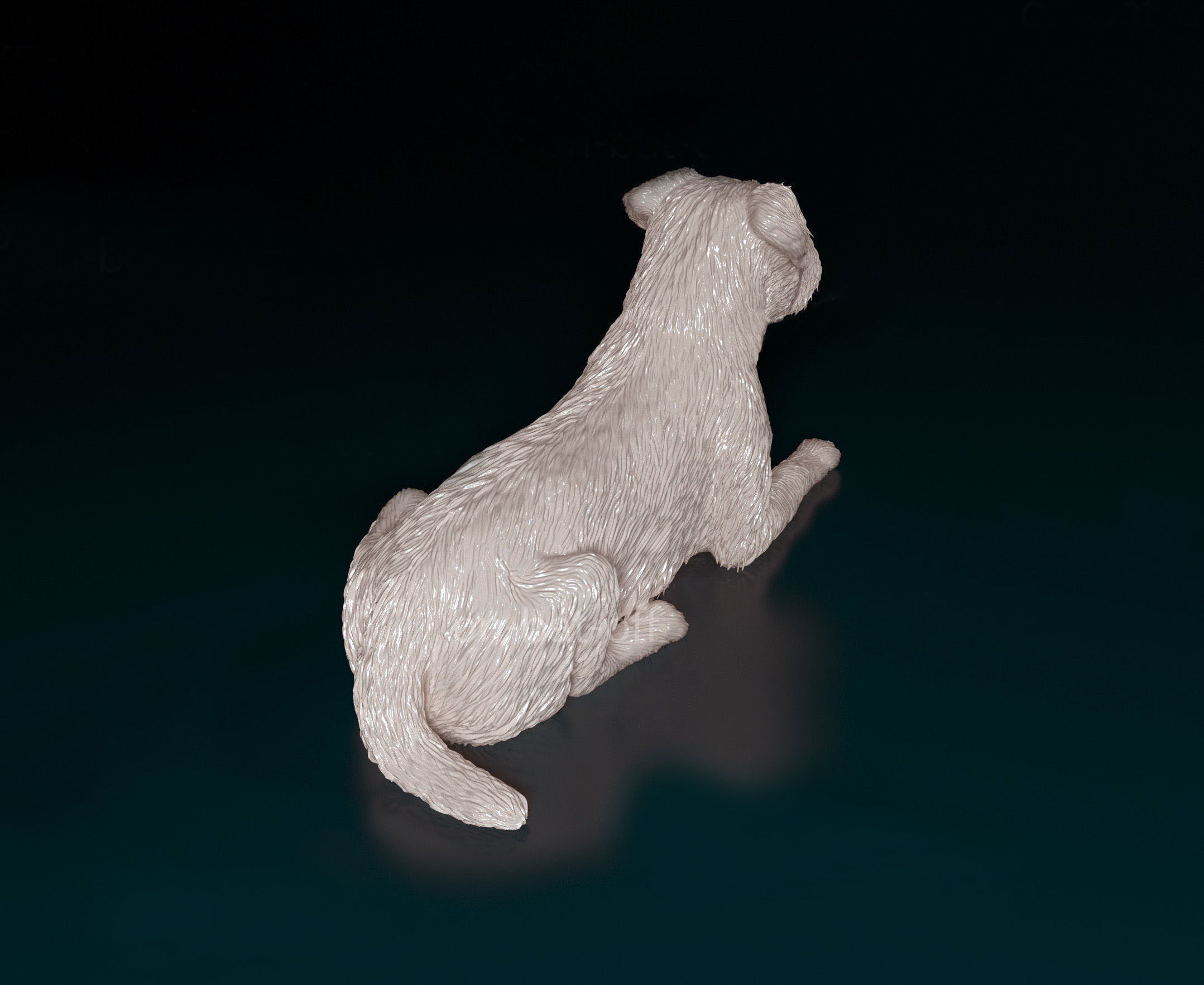 Border terrier 3D print model_2