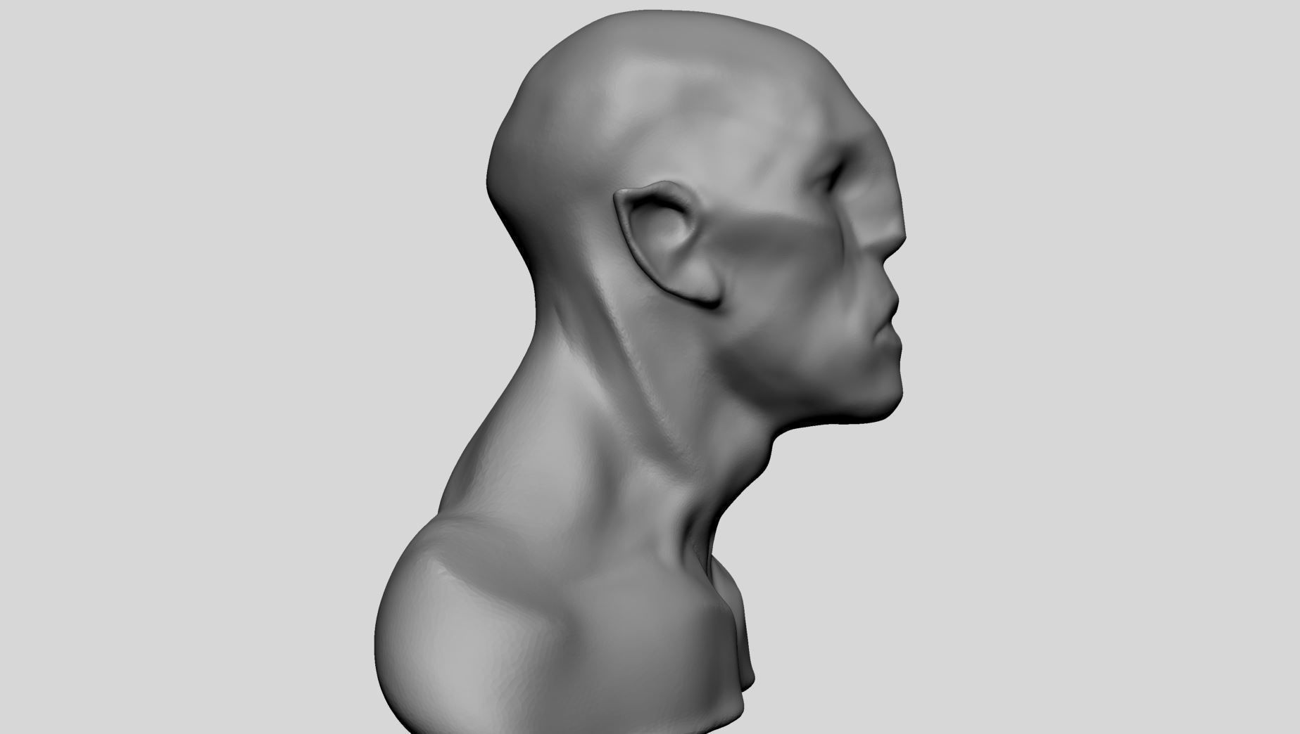 Base Creature Heads 3D model_11